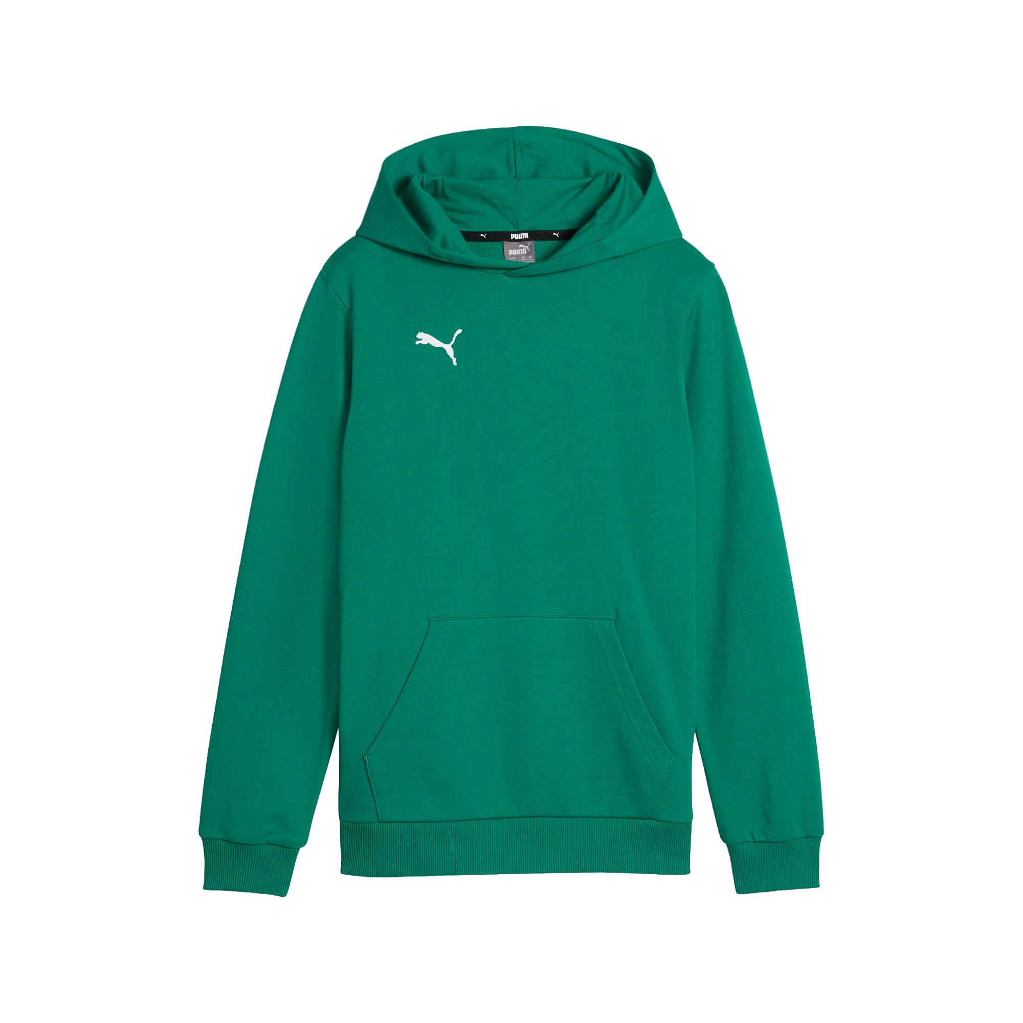Puma teamGOAL Casuals Hoody Barn