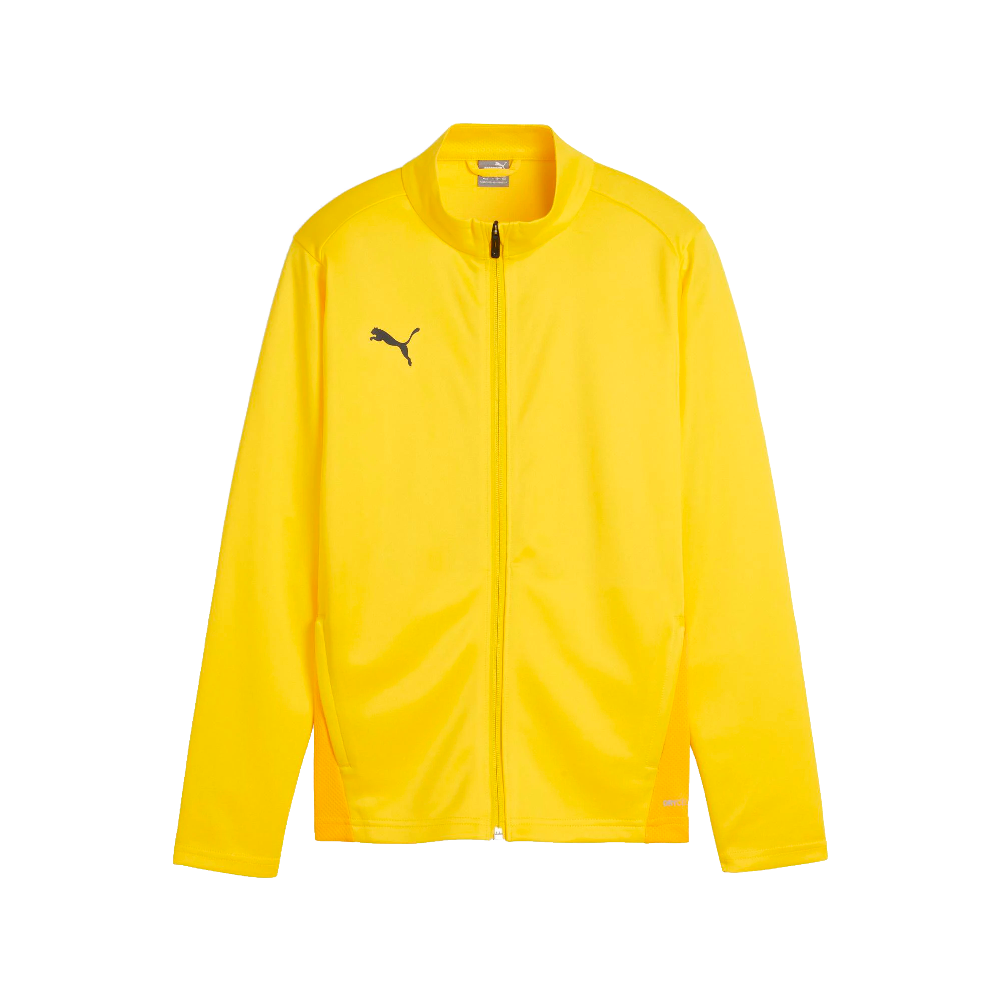 Puma teamGOAL Training Jacket Barn