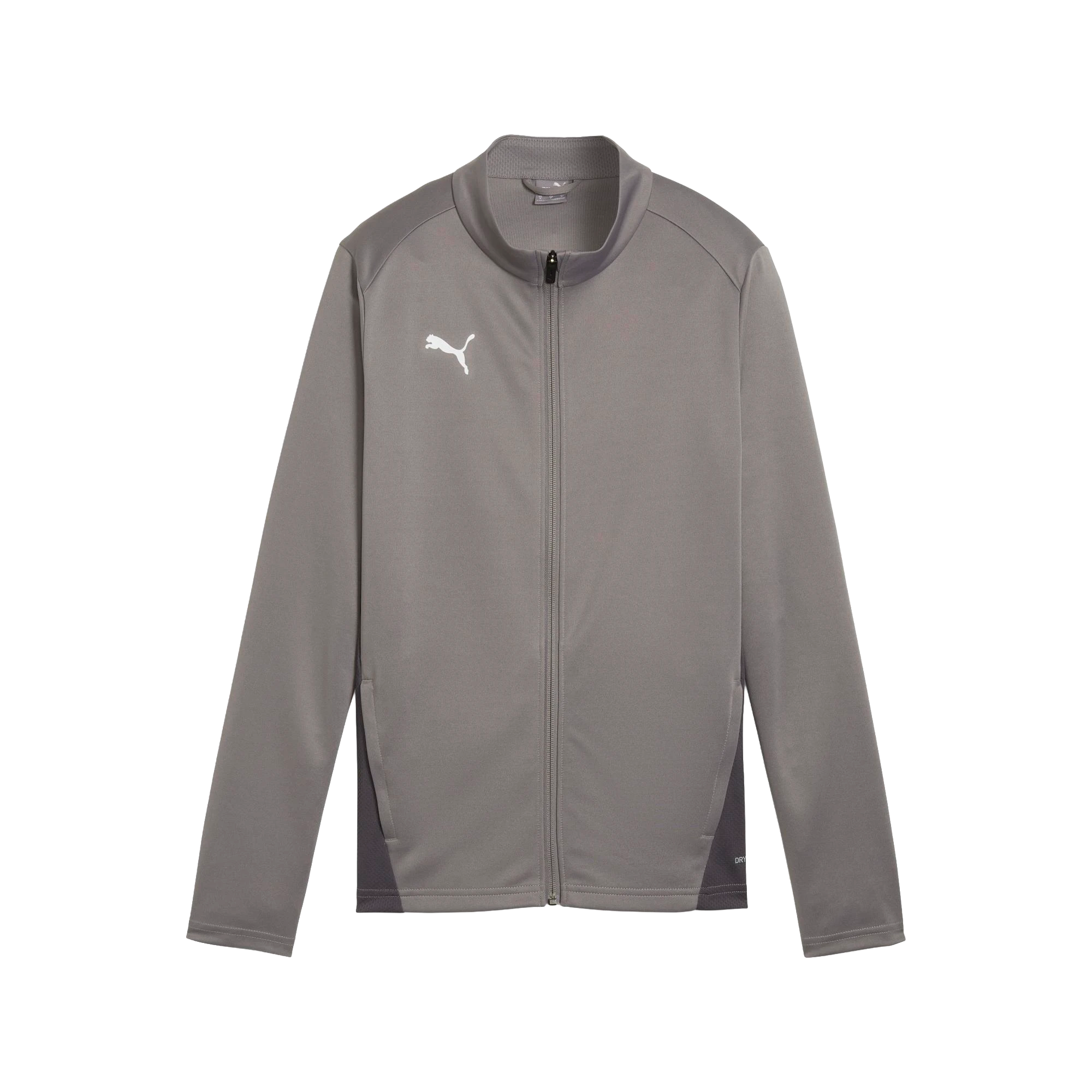 Puma teamGOAL Training Jacket Dam