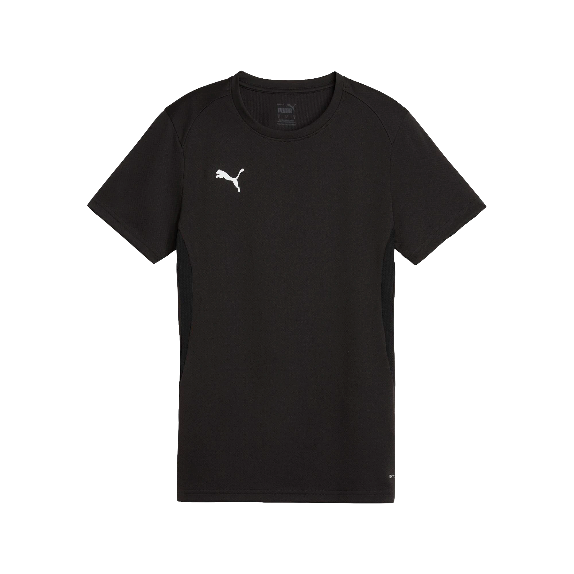 Puma teamGOAL Jersey Dam