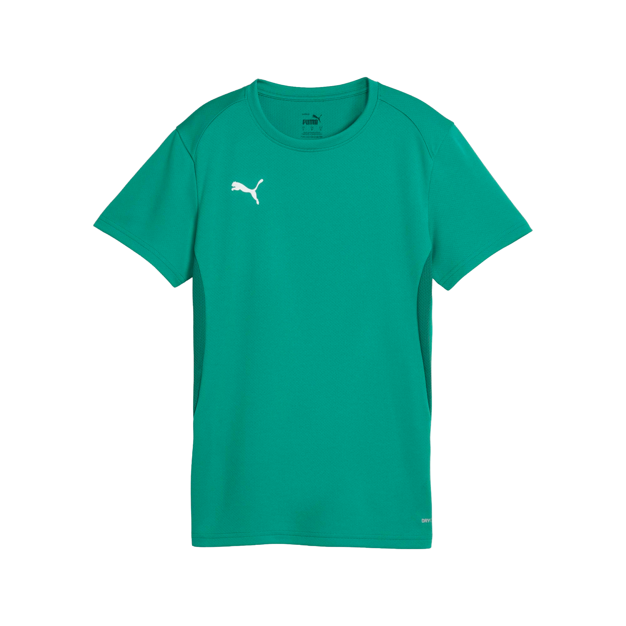 Puma teamGOAL Jersey Dam