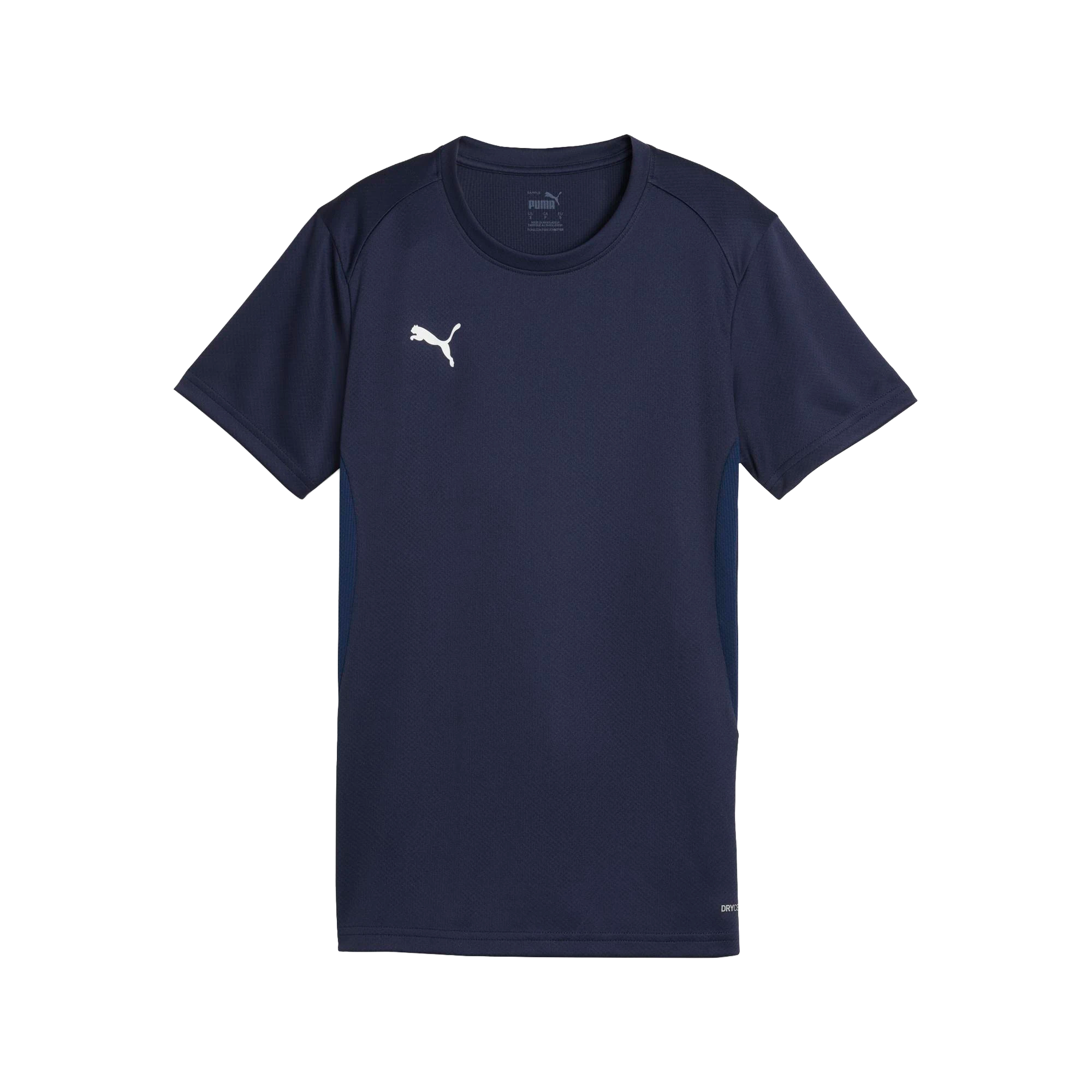 Puma teamGOAL Jersey Dam