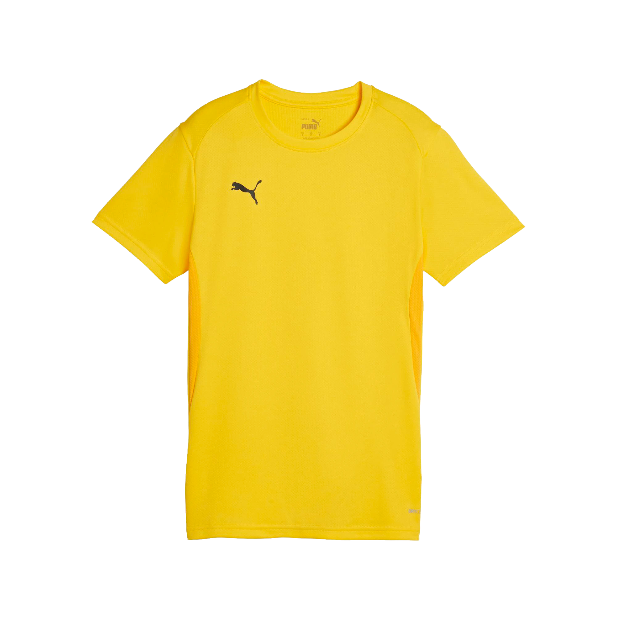 Puma teamGOAL Jersey Dam