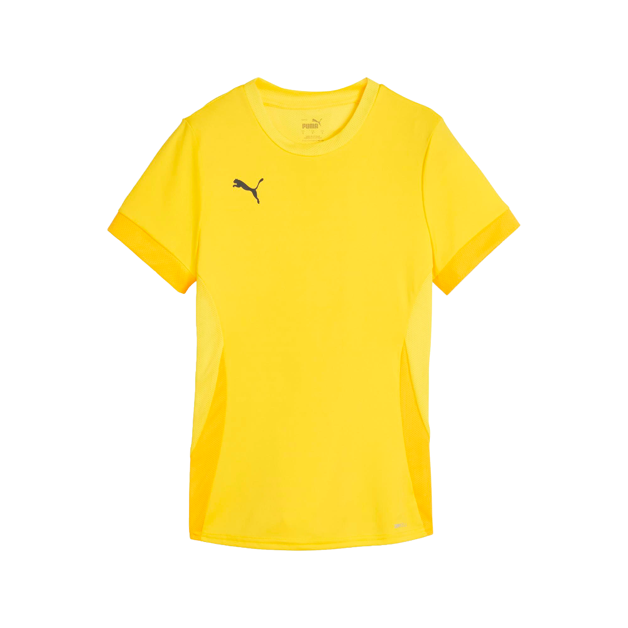 Puma teamGOAL Matchday Jersey Dam