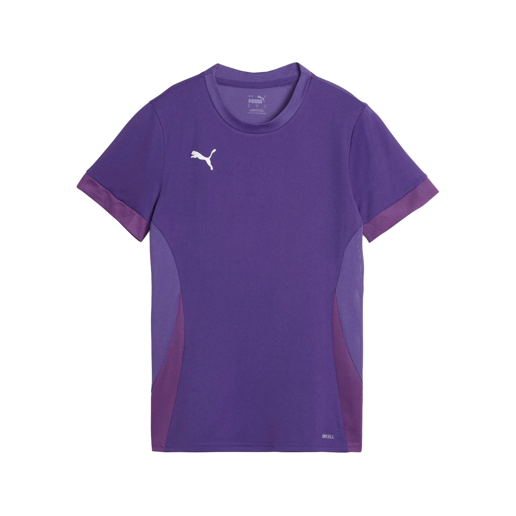 Puma teamGOAL Matchday Jersey Dam