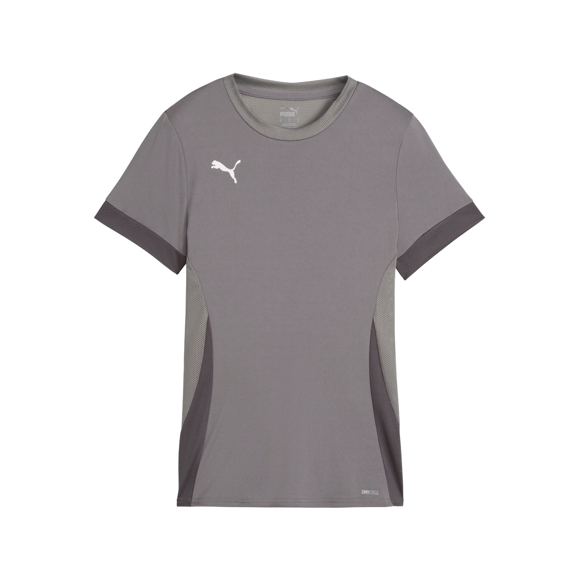 Puma teamGOAL Matchday Jersey Dam