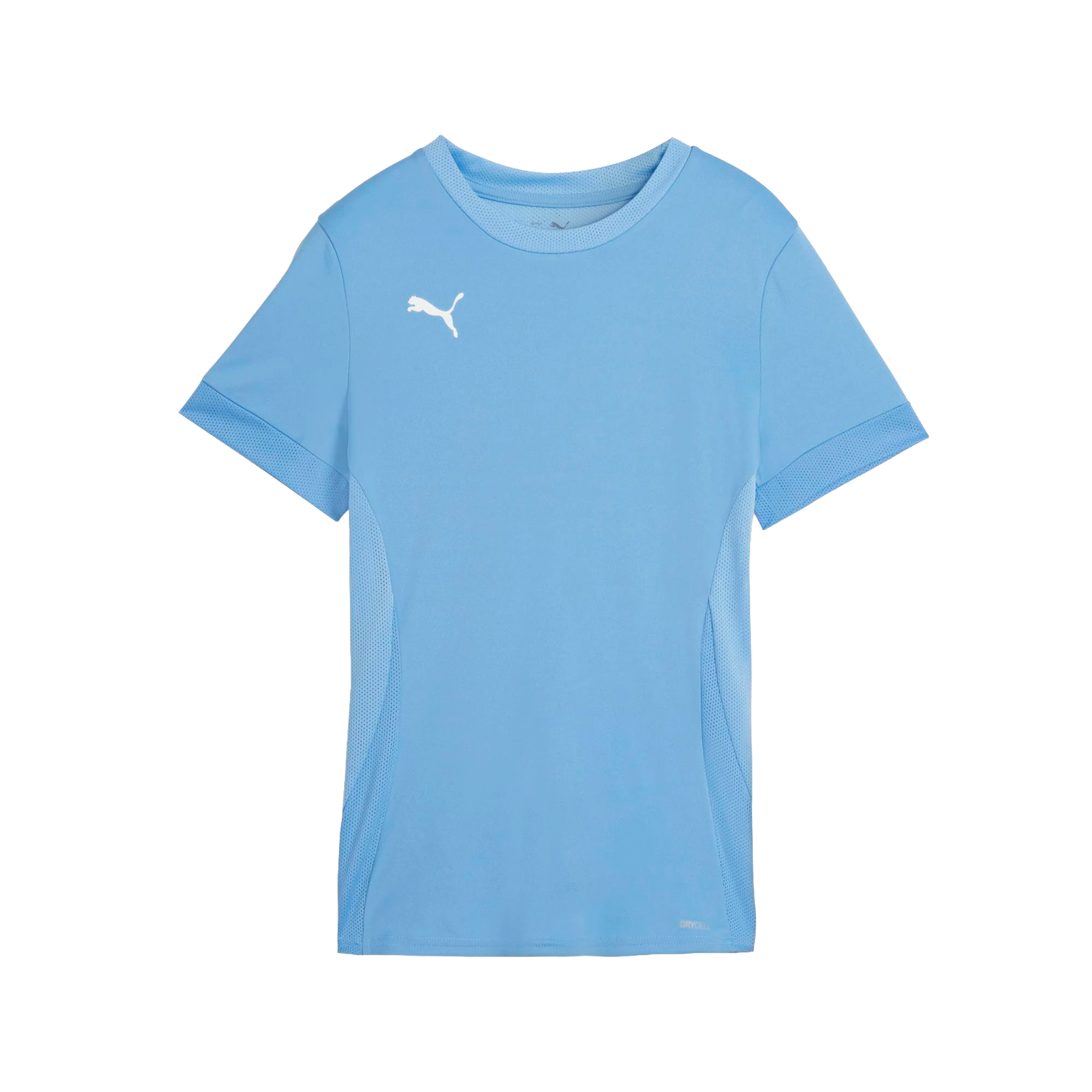 Puma teamGOAL Matchday Jersey Dam