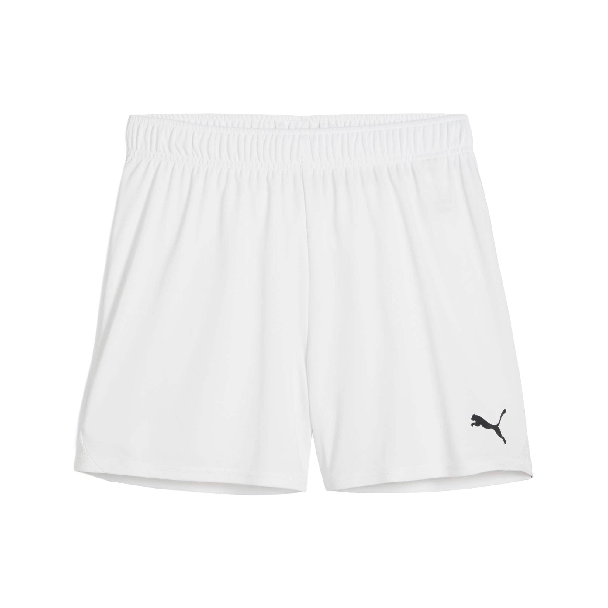 Puma teamGOAL Shorts Dam