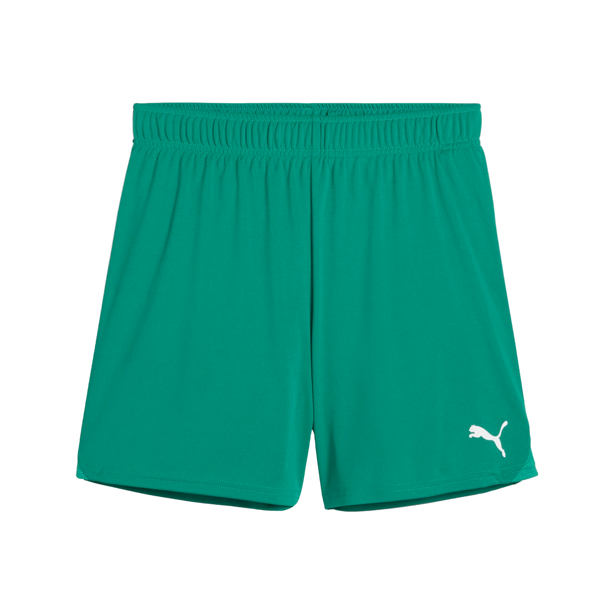 Puma teamGOAL Shorts Dam