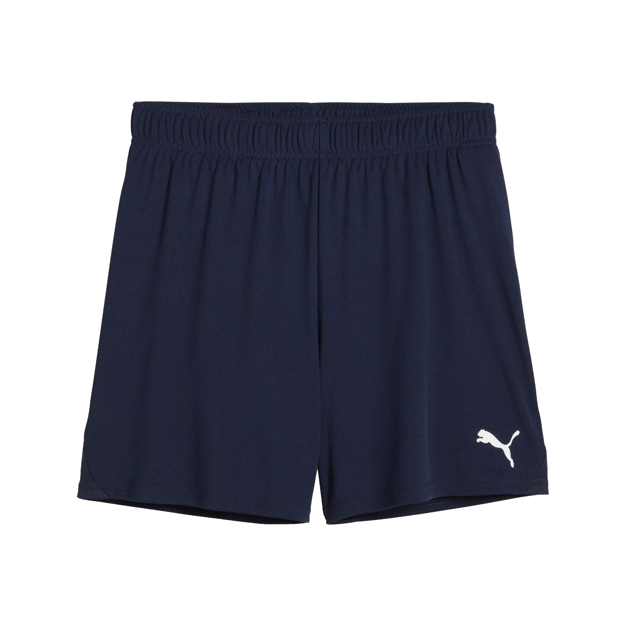Puma teamGOAL Shorts Dam