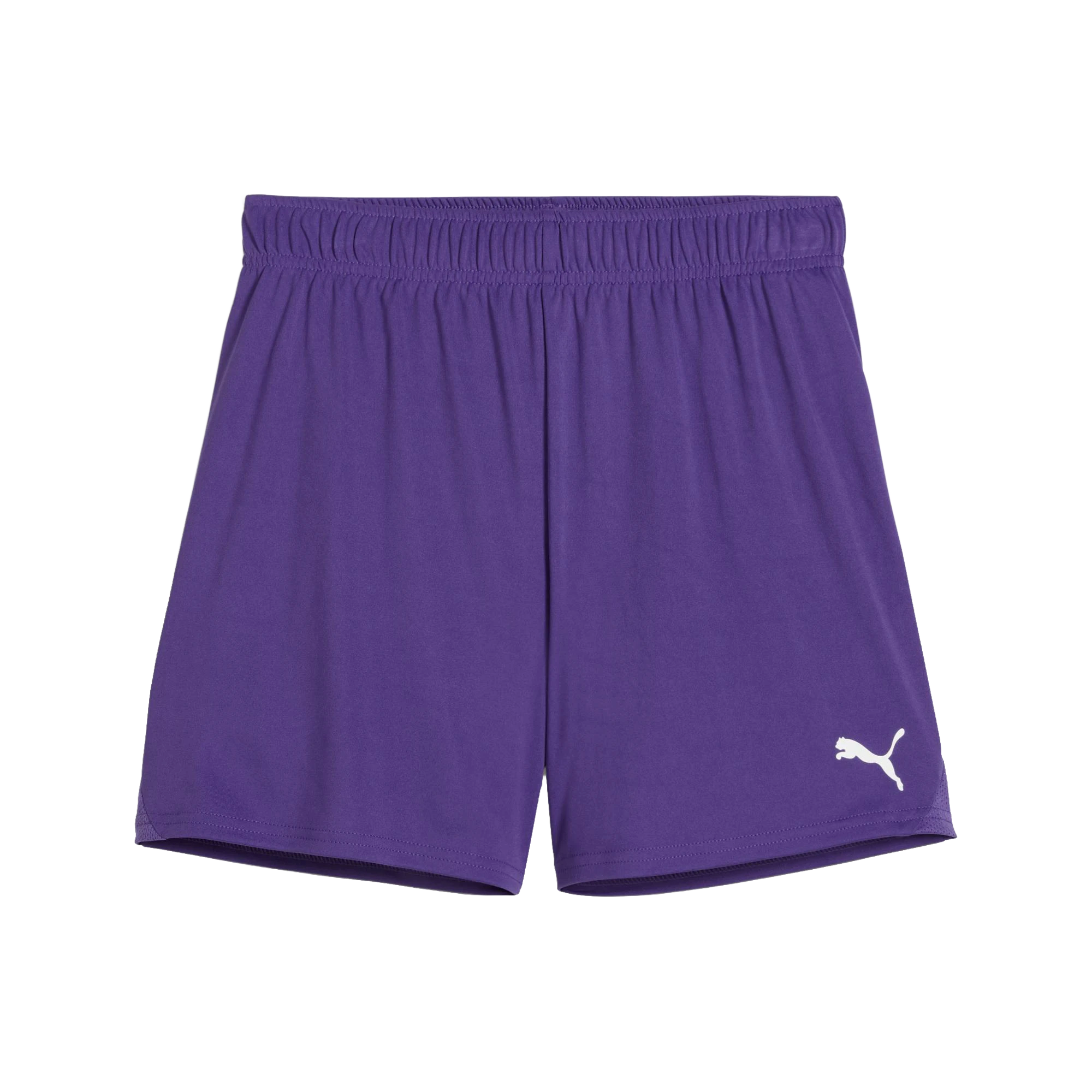 Puma teamGOAL Shorts Dam