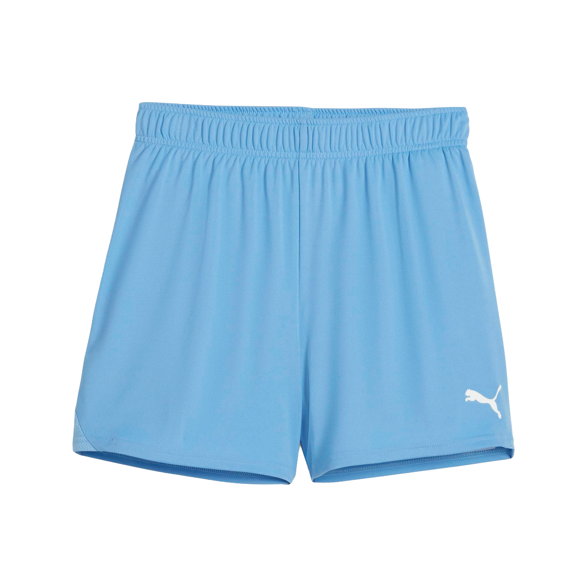 Puma teamGOAL Shorts Dam