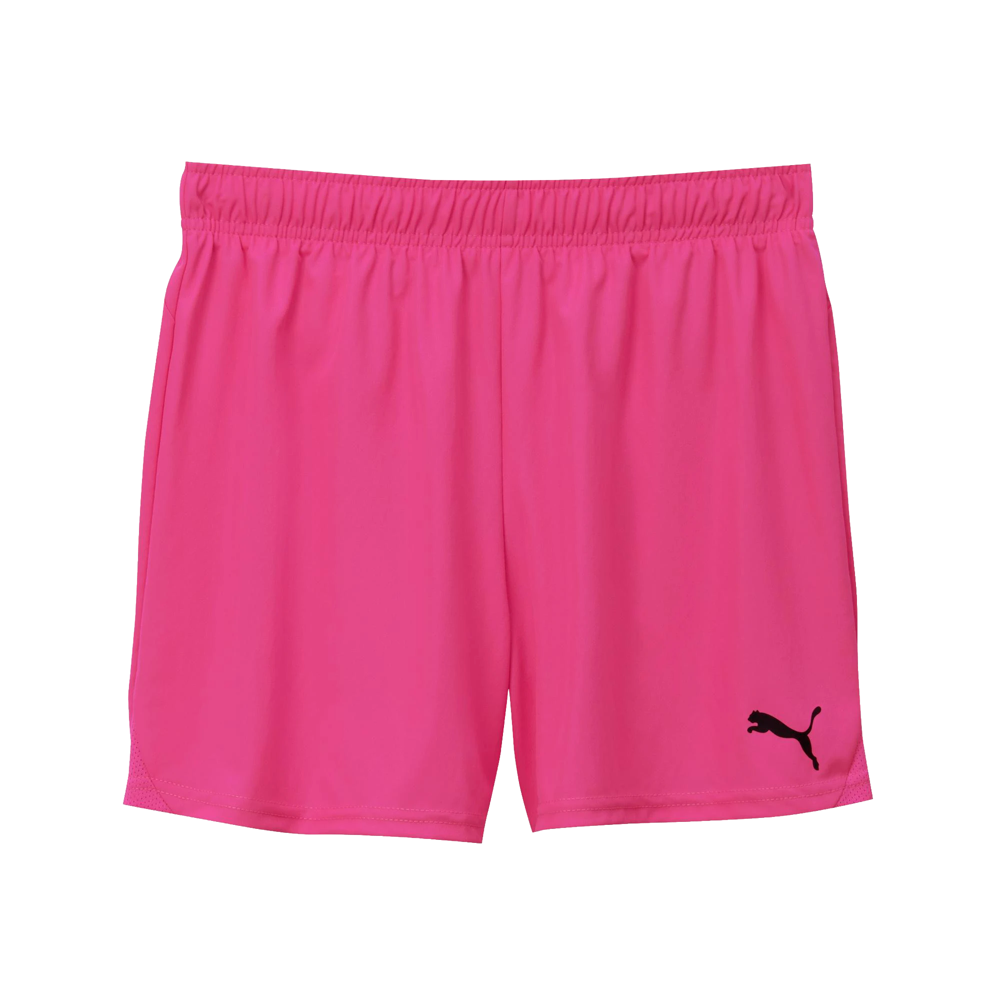 Puma teamGOAL Shorts Dam