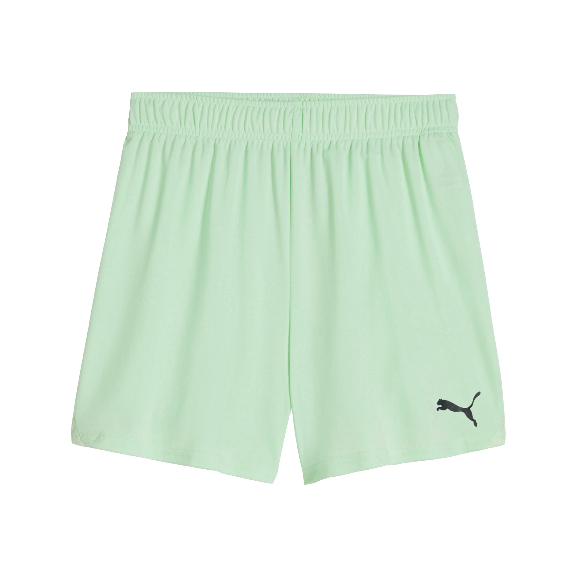 Puma teamGOAL Shorts Dam