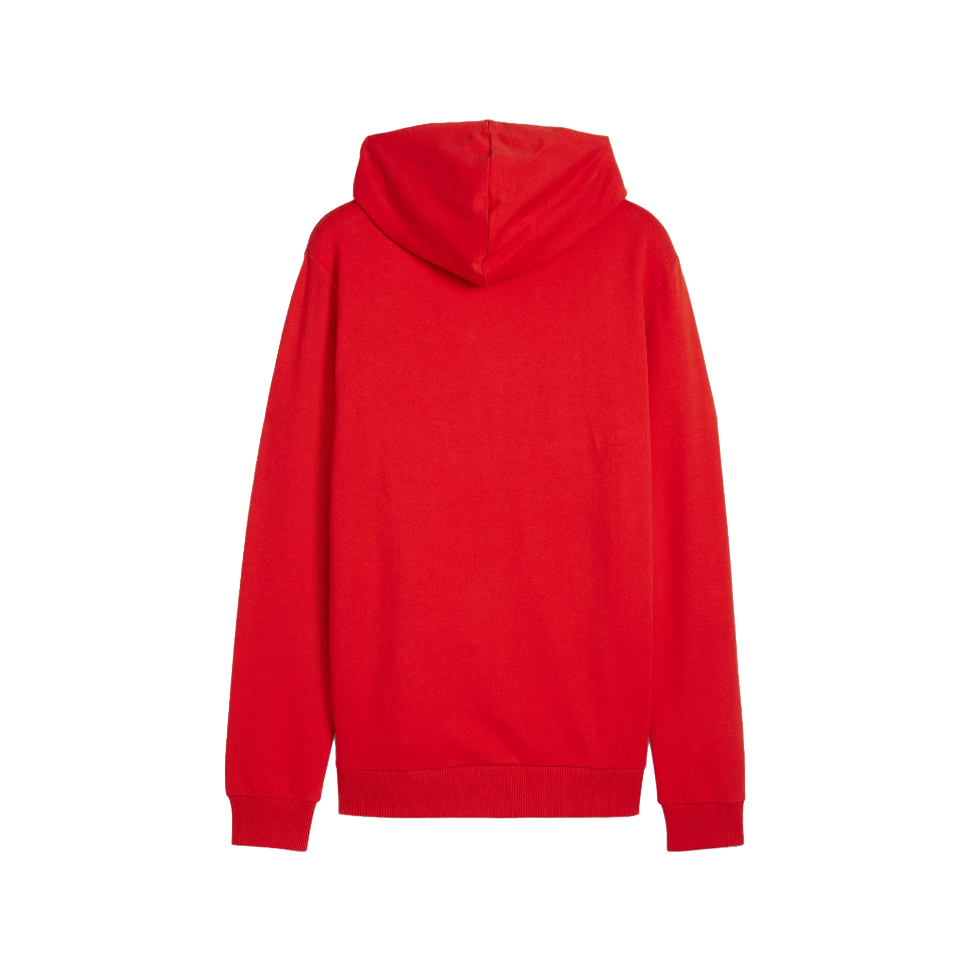 Puma teamGOAL Casuals Hoody Herr