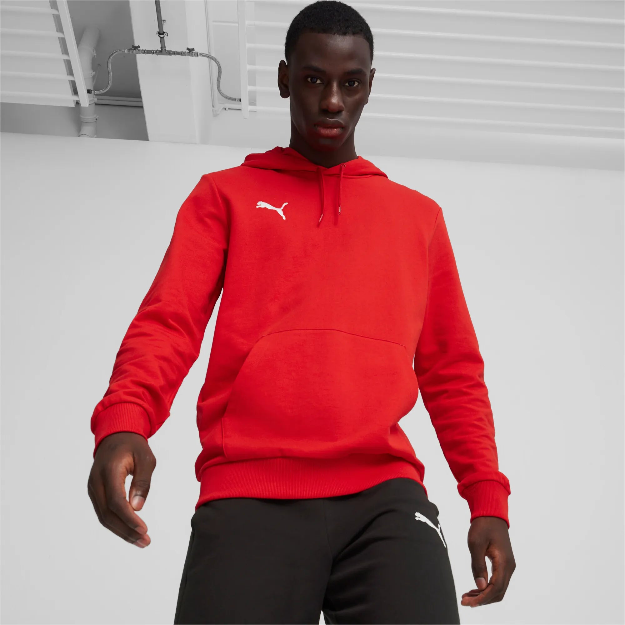 Puma teamGOAL Casuals Hoody Herr