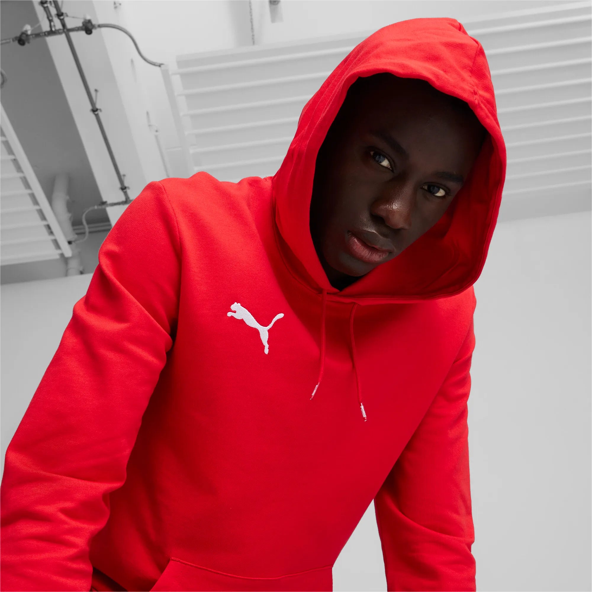 Puma teamGOAL Casuals Hoody Herr