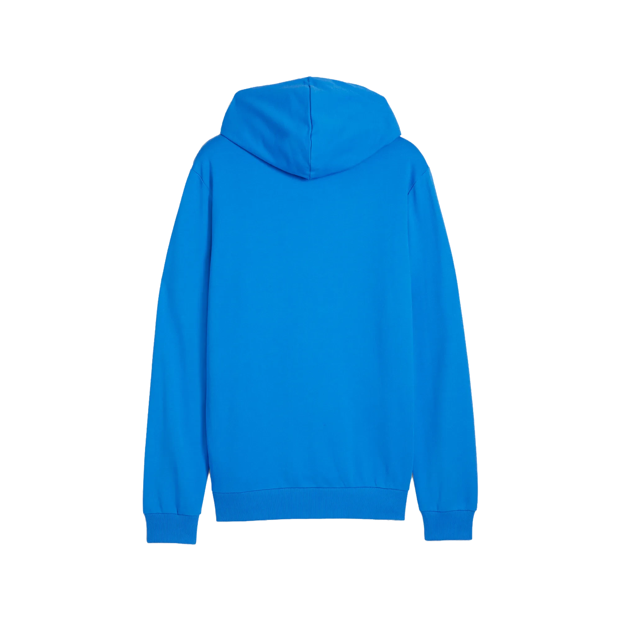 Puma teamGOAL Casuals Hoody Herr