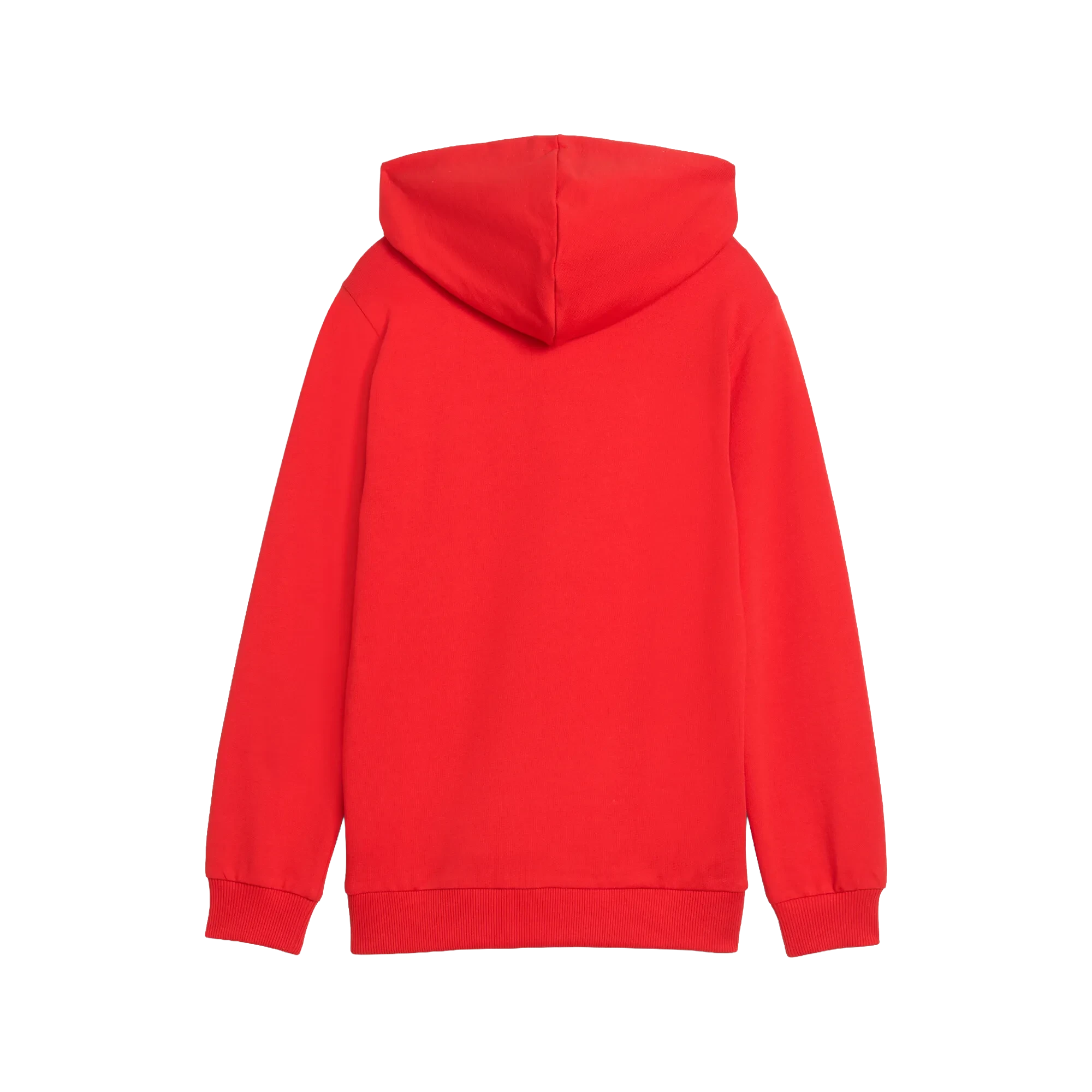 Puma teamGOAL Casuals Hoody Barn
