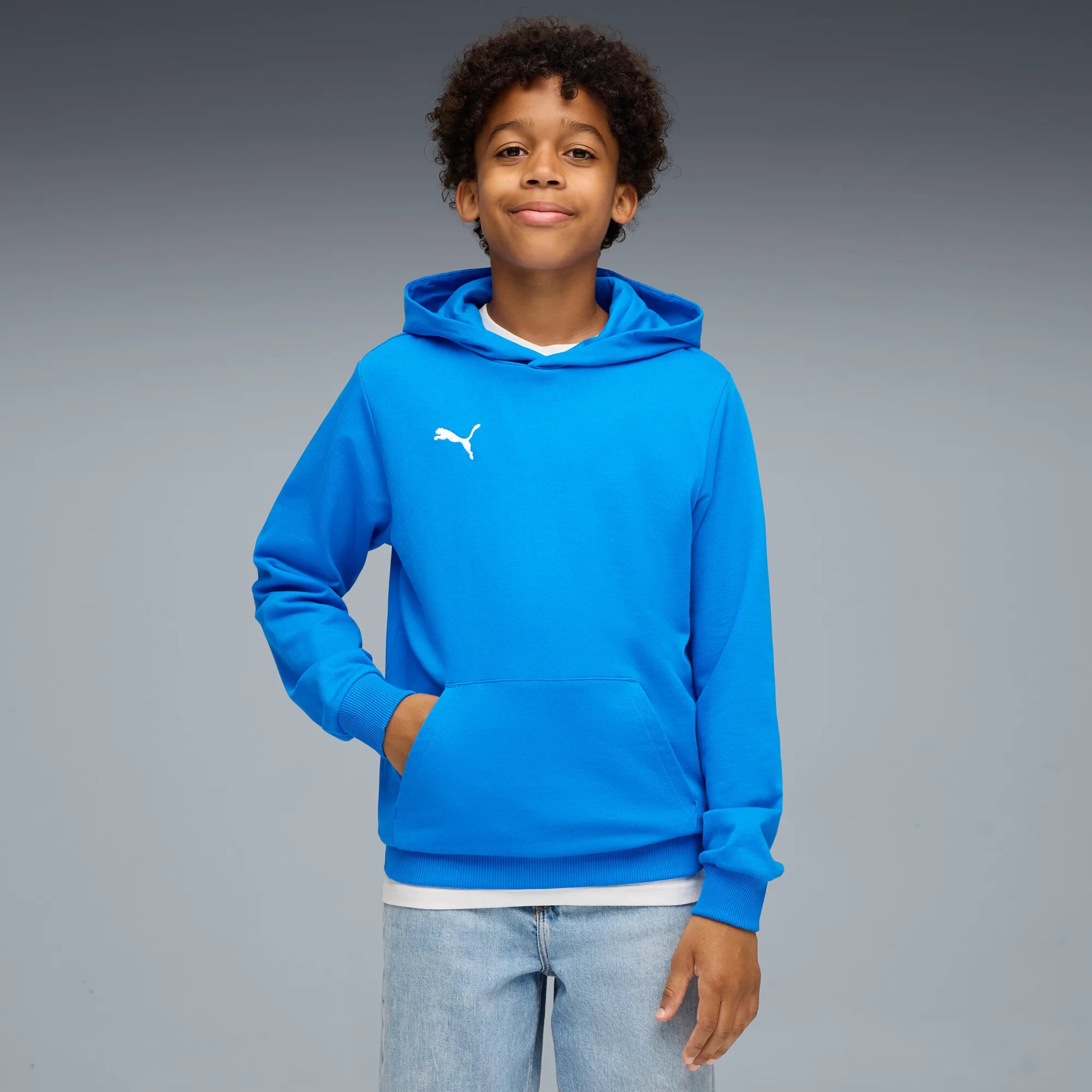 Puma teamGOAL Casuals Hoody Barn