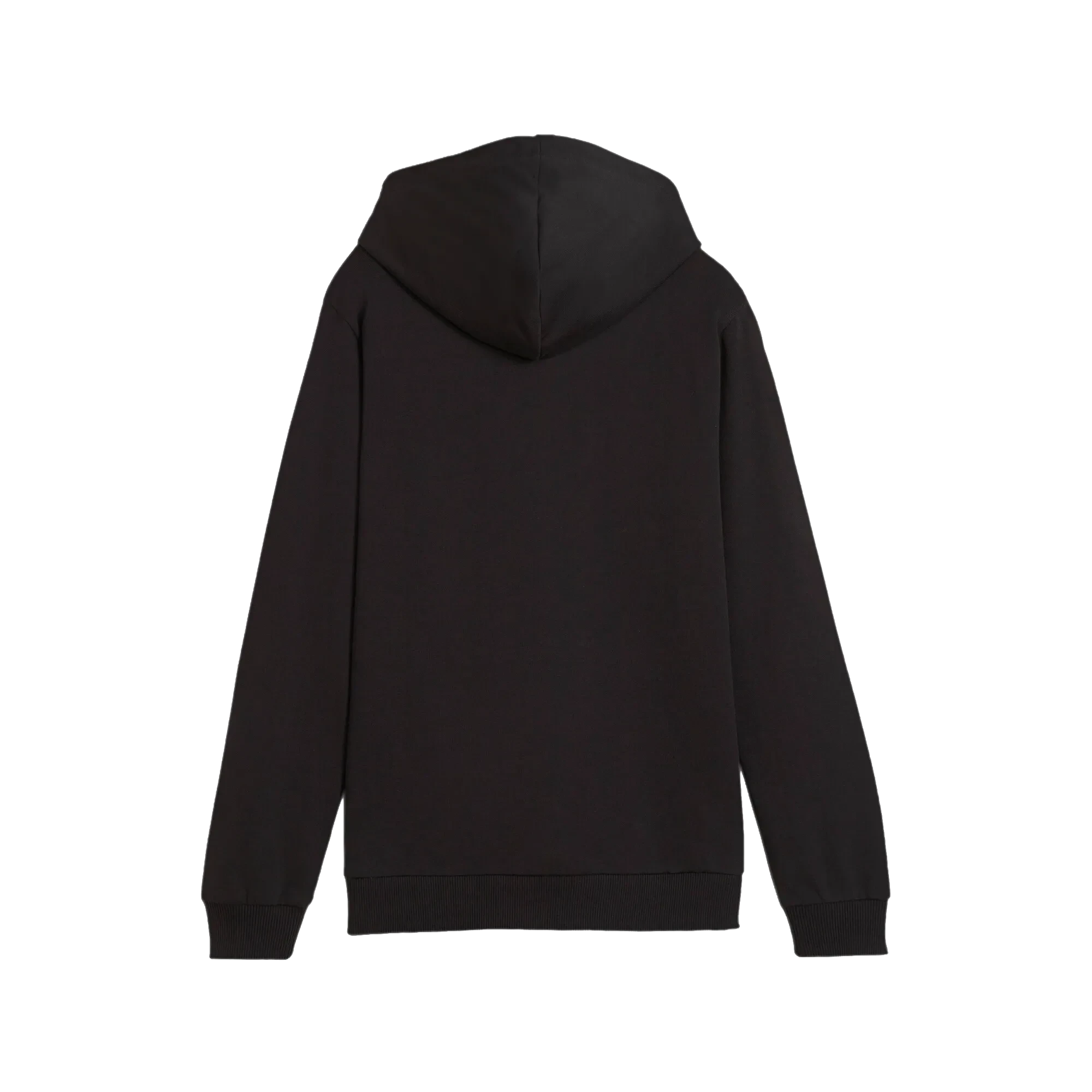 Puma teamGOAL Casuals Hoody Barn