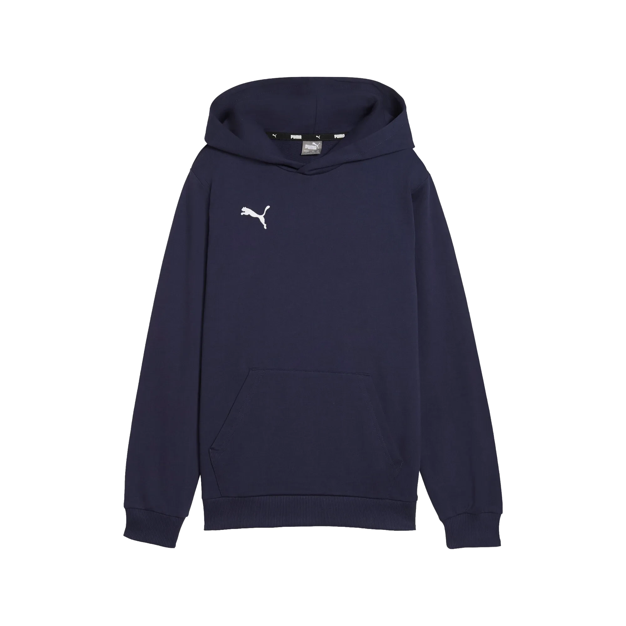 Puma teamGOAL Casuals Hoody Barn