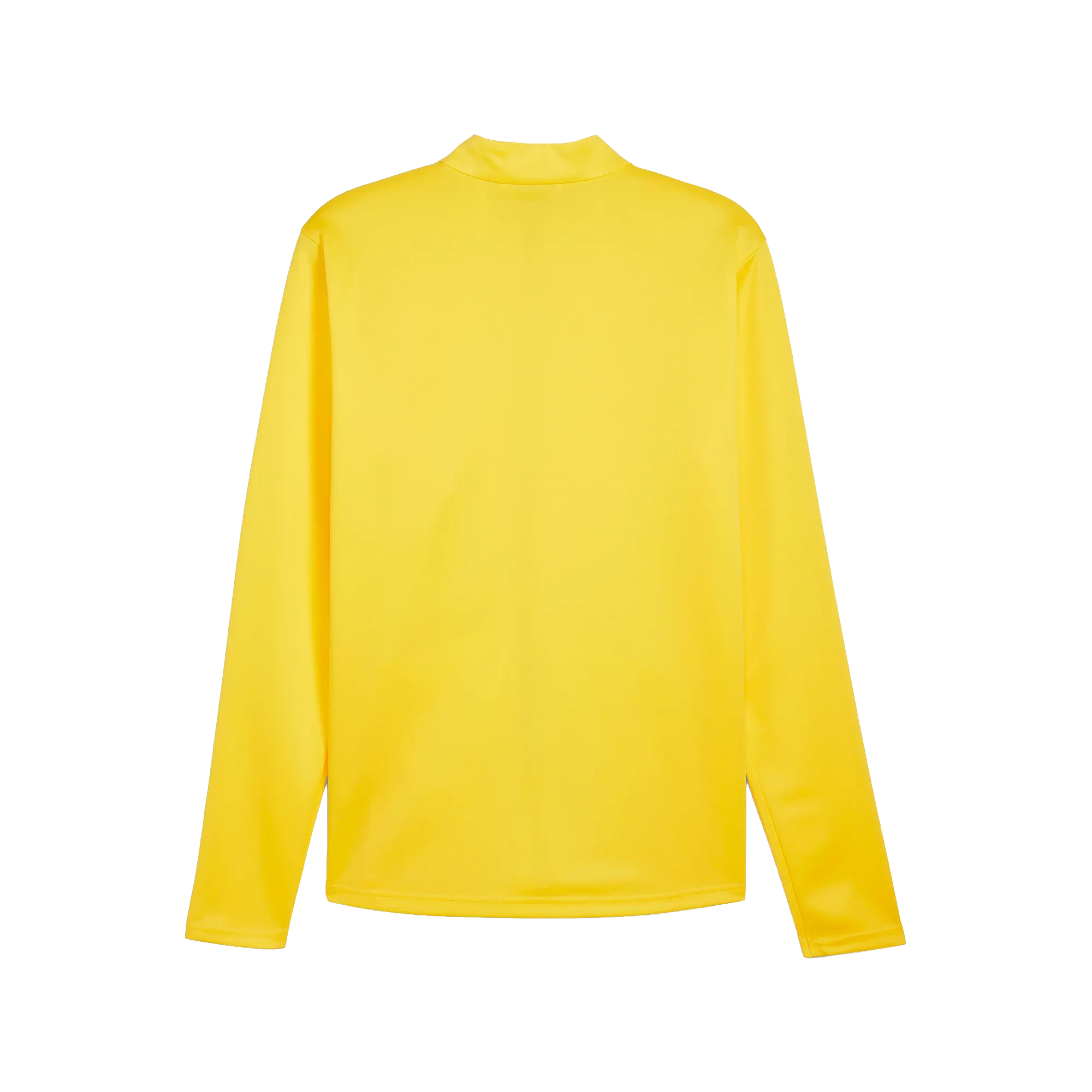 Puma teamGOAL Training Jacket Herr