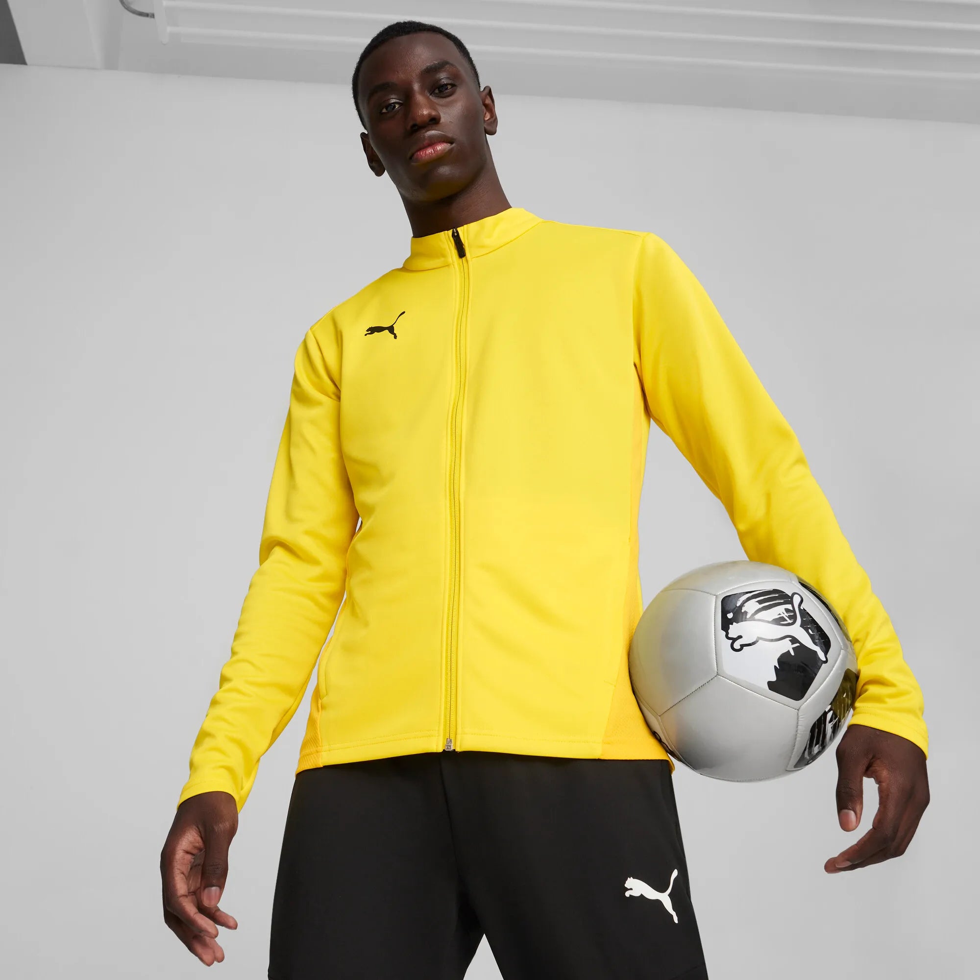 Puma teamGOAL Training Jacket Herr