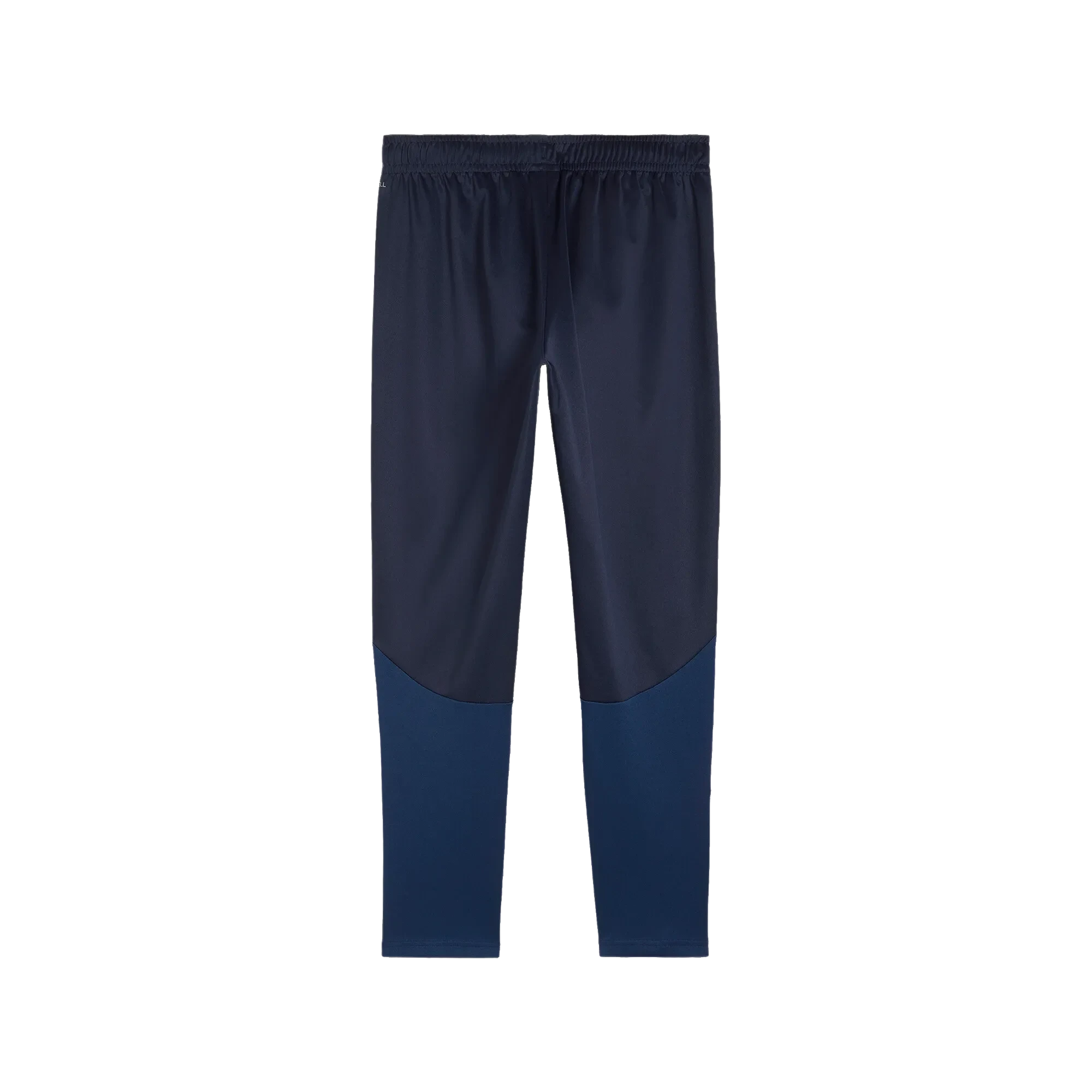 Puma teamGOAL Training Pants Herr