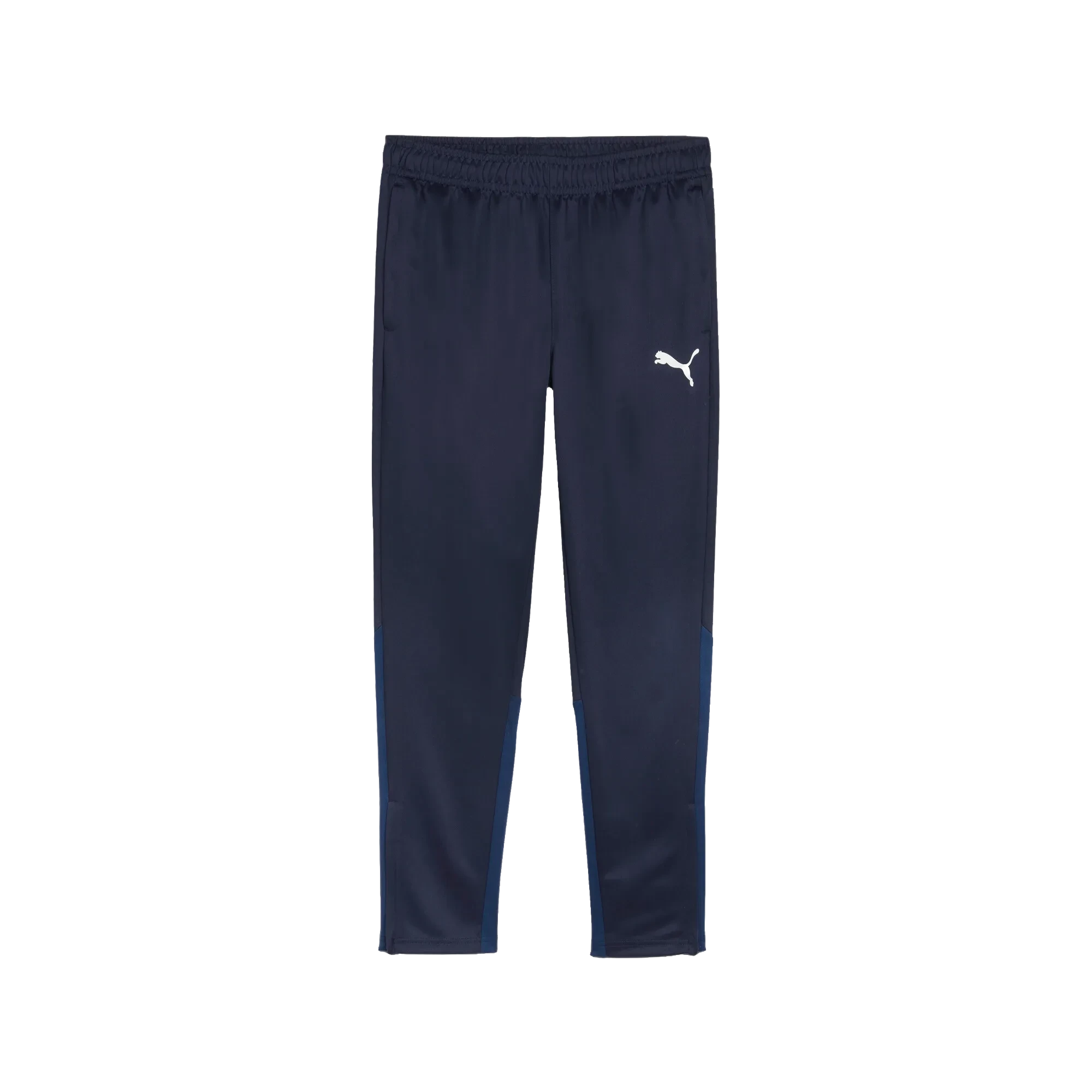 Puma teamGOAL Training Pants Herr