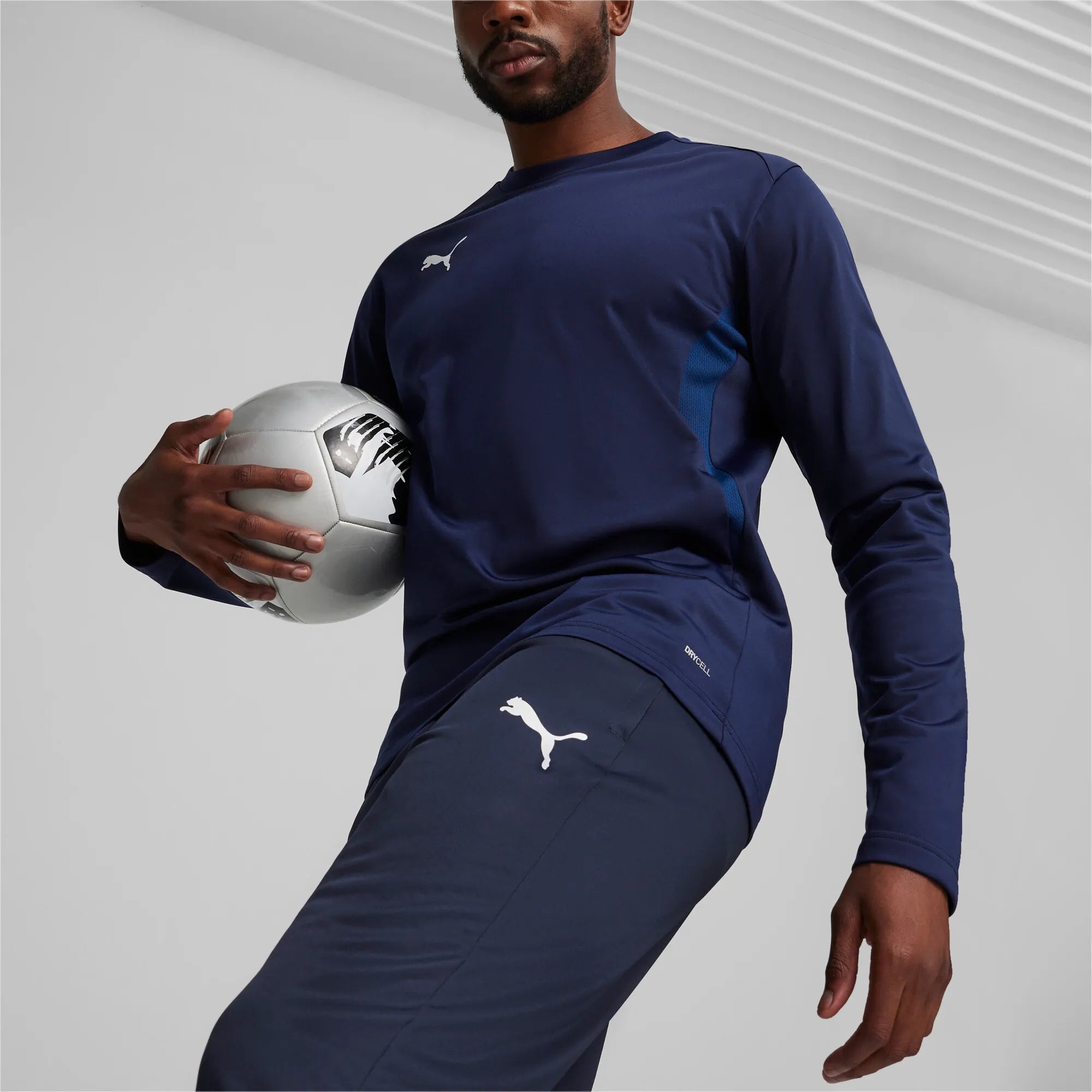 Puma teamGOAL Training Pants Herr
