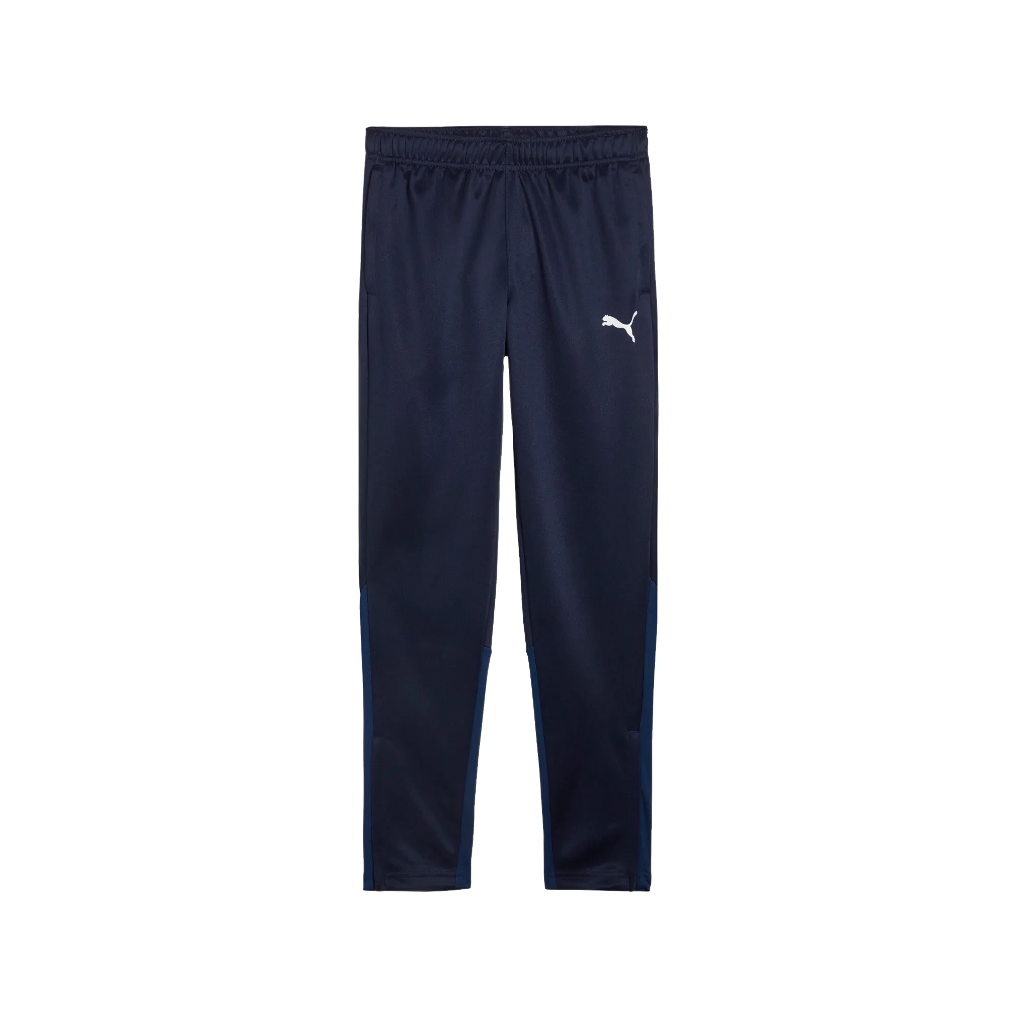Puma teamGOAL Training Pants Barn