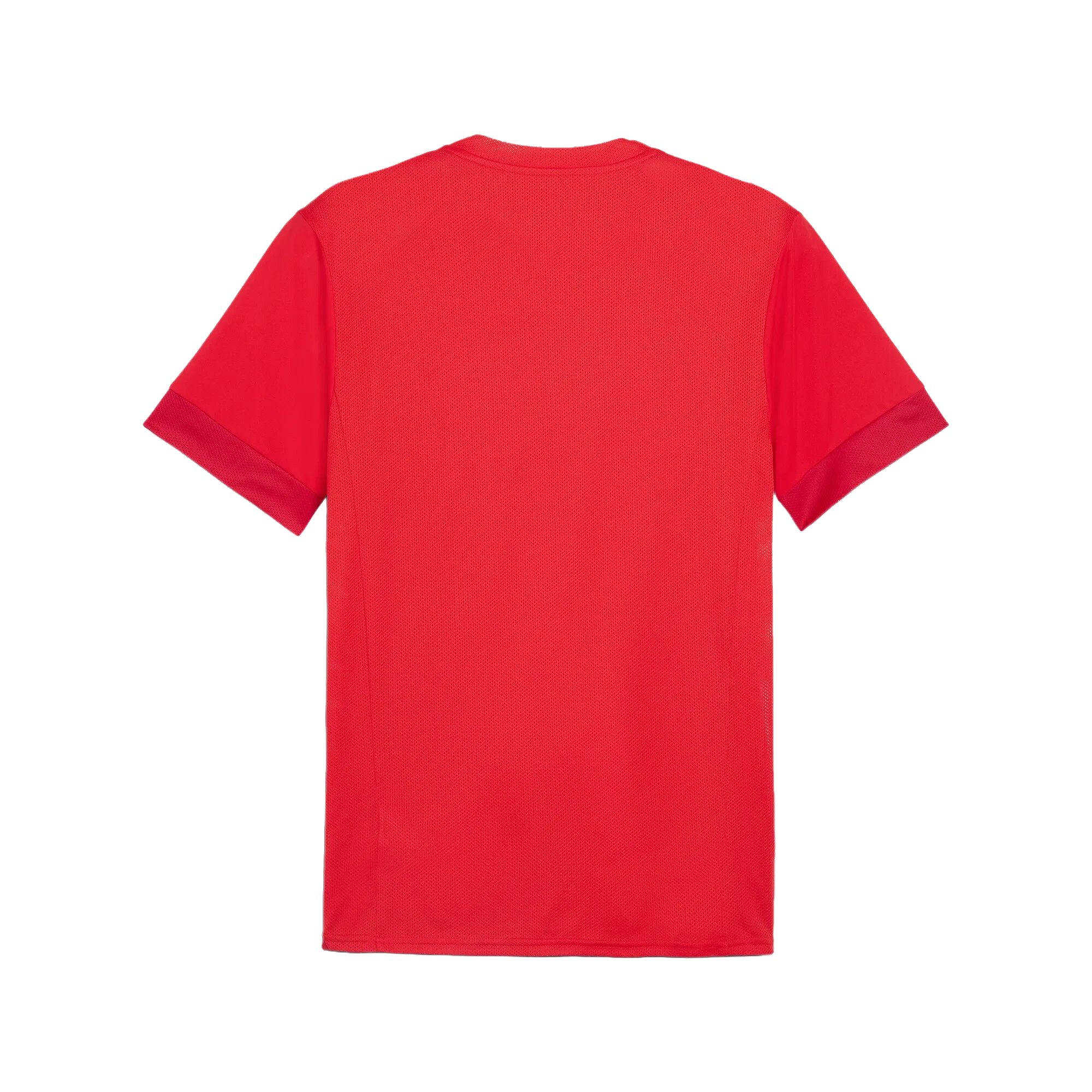 Puma teamGOAL Matchday Jersey Herr