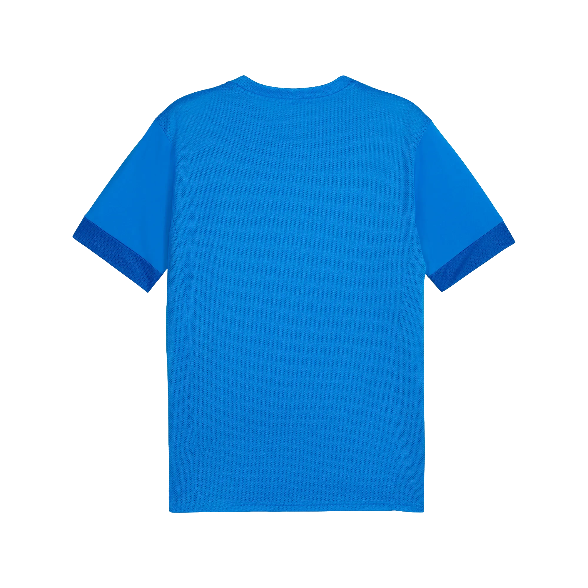 Puma teamGOAL Matchday Jersey Herr