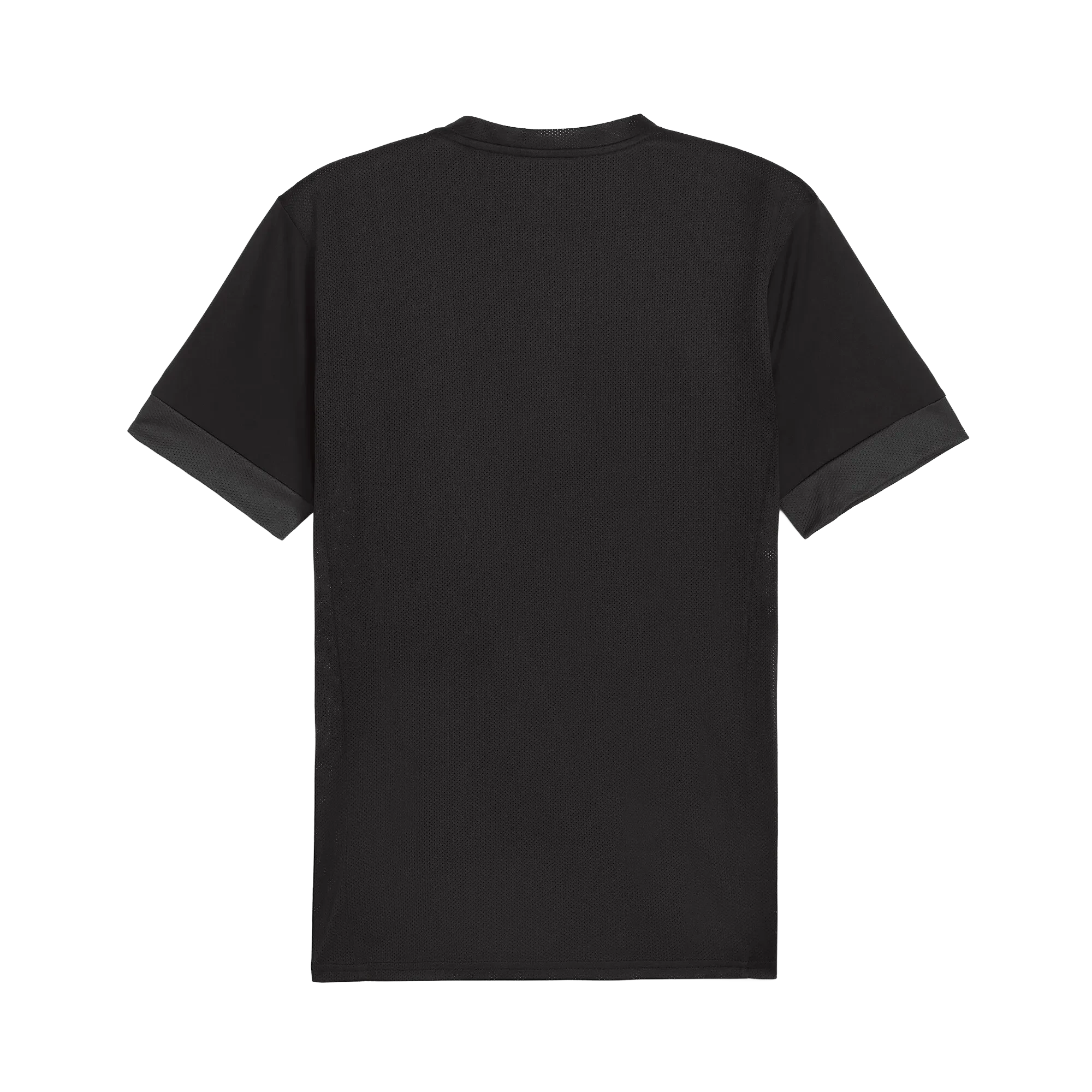 Puma teamGOAL Matchday Jersey Herr