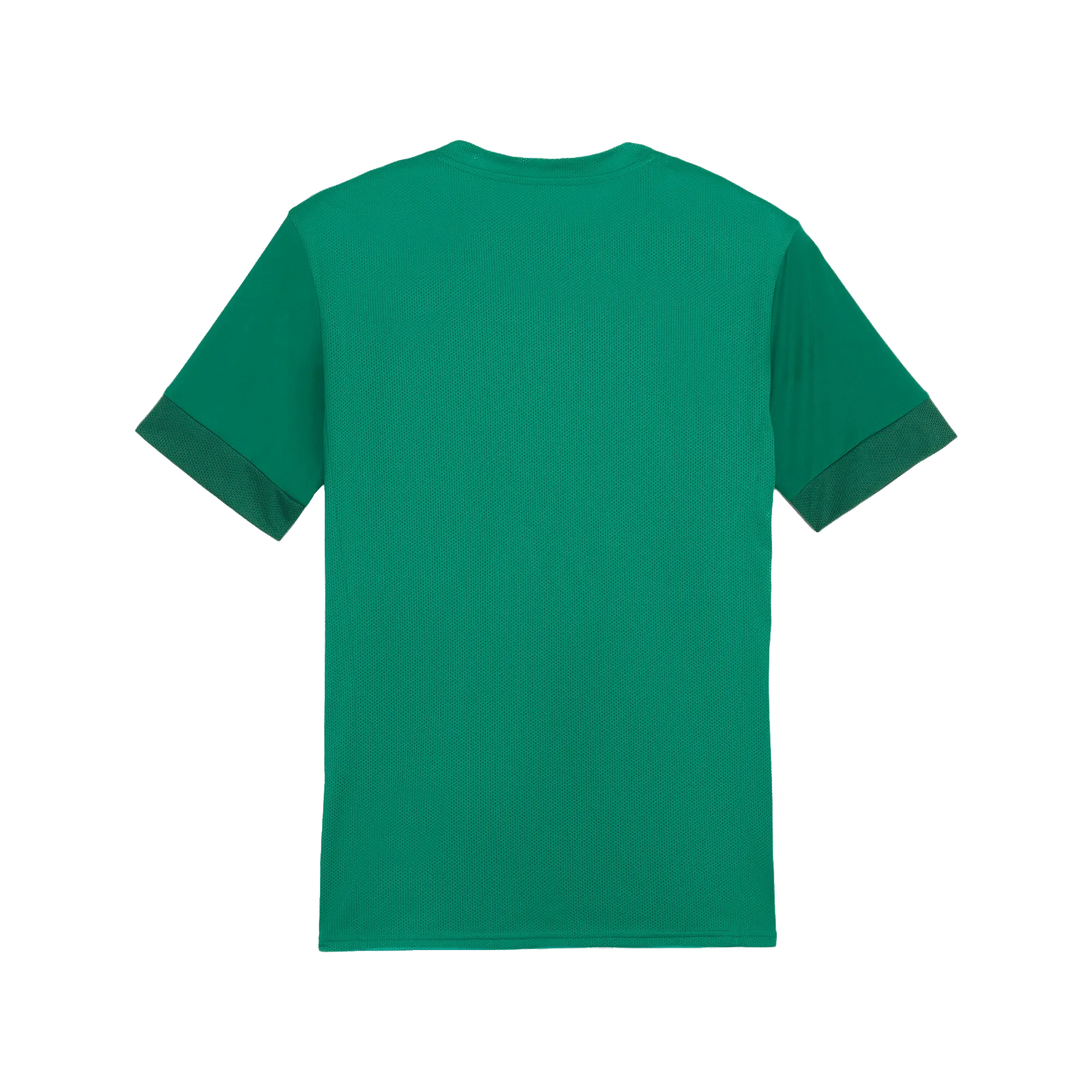 Puma teamGOAL Matchday Jersey Herr