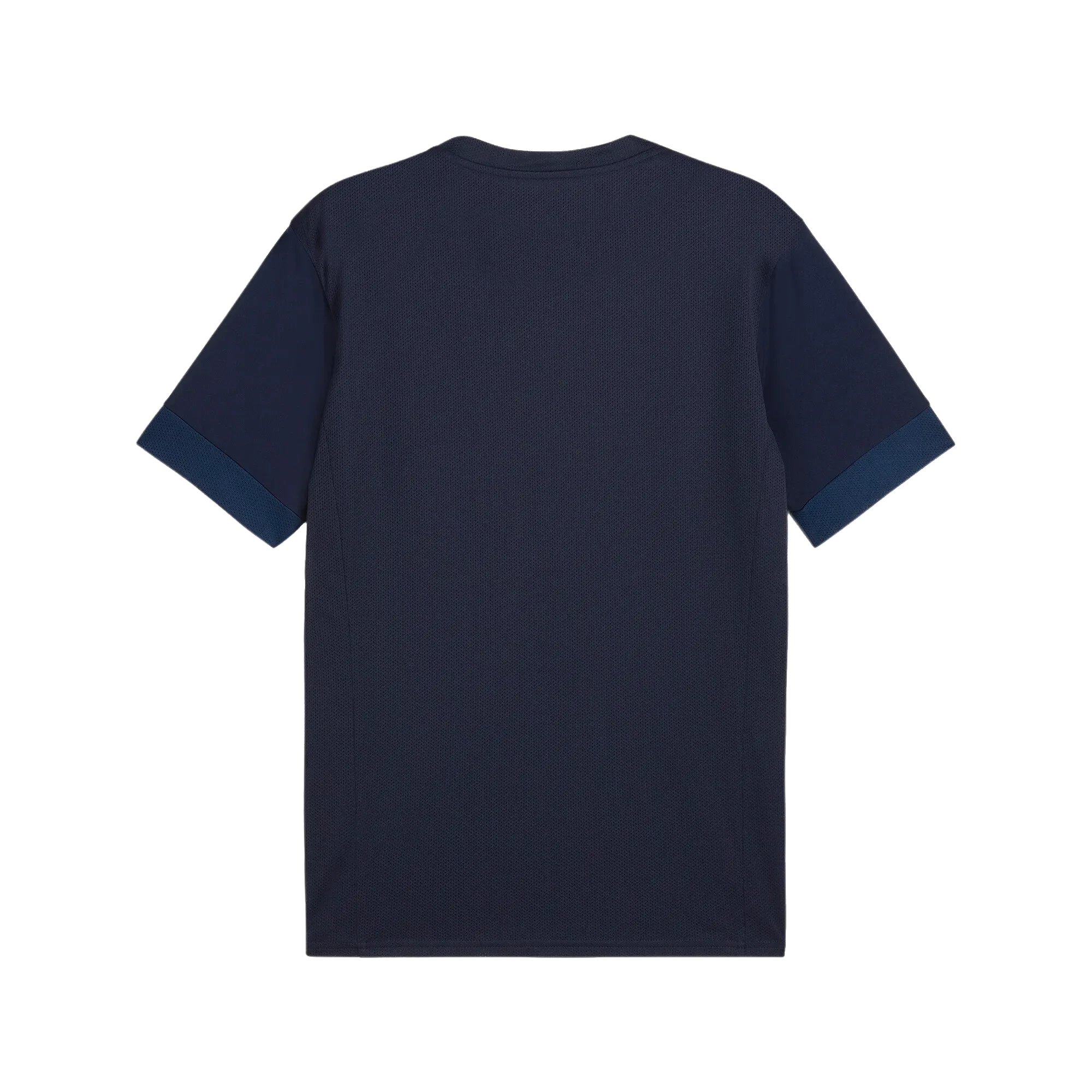 Puma teamGOAL Matchday Jersey Herr