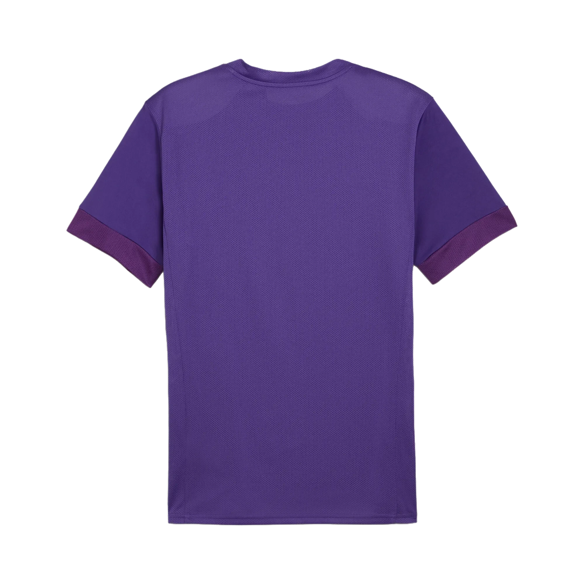 Puma teamGOAL Matchday Jersey Herr