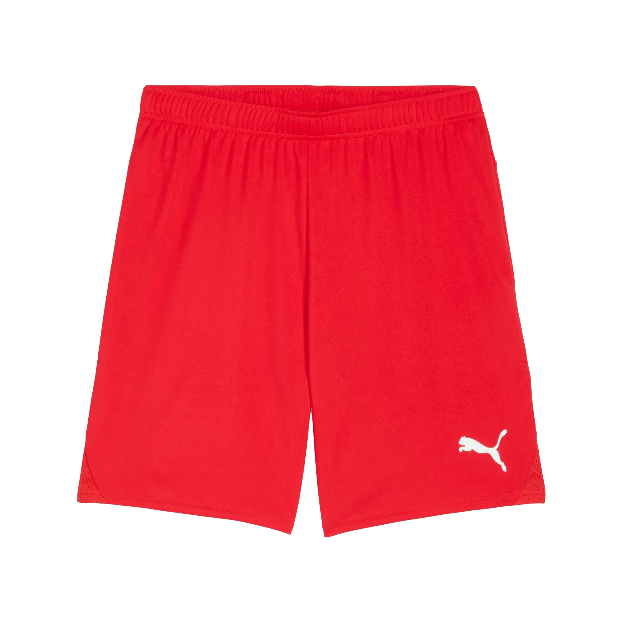 Puma teamGOAL Shorts Herr