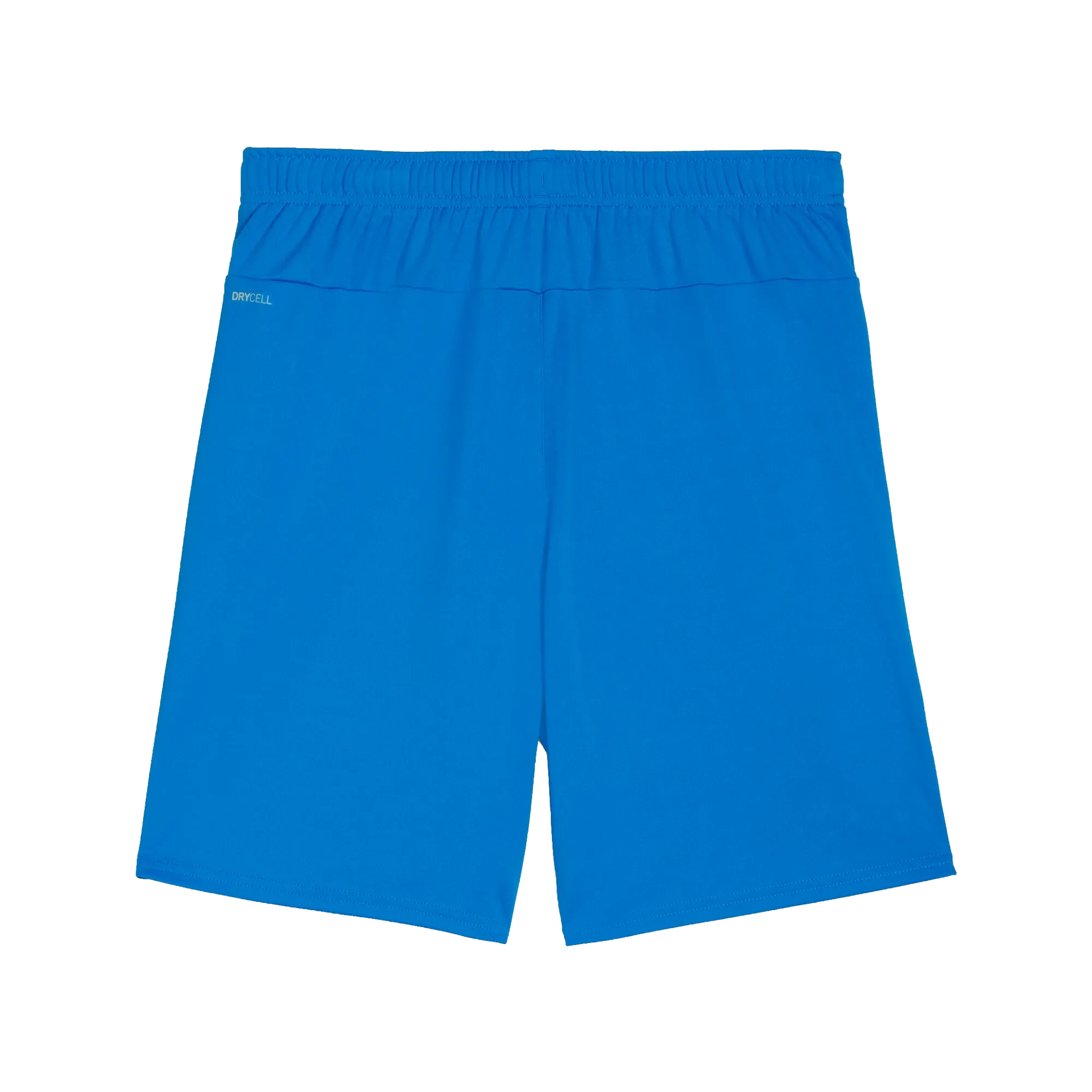 Puma teamGOAL Shorts Herr