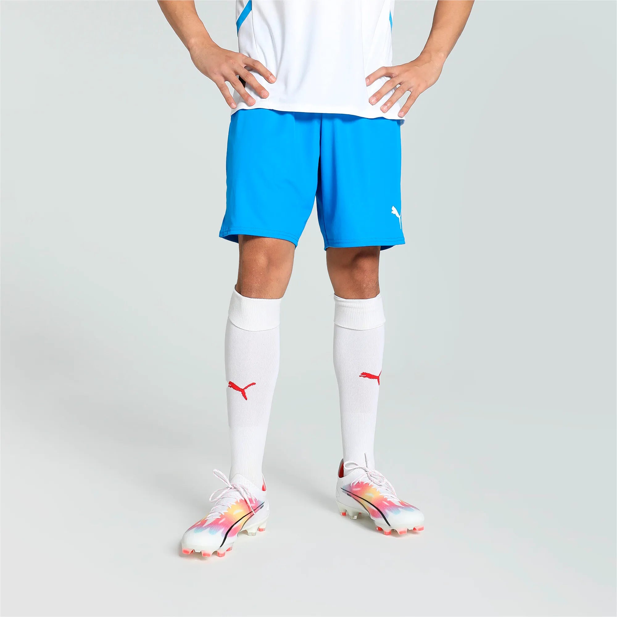 Puma teamGOAL Shorts Herr