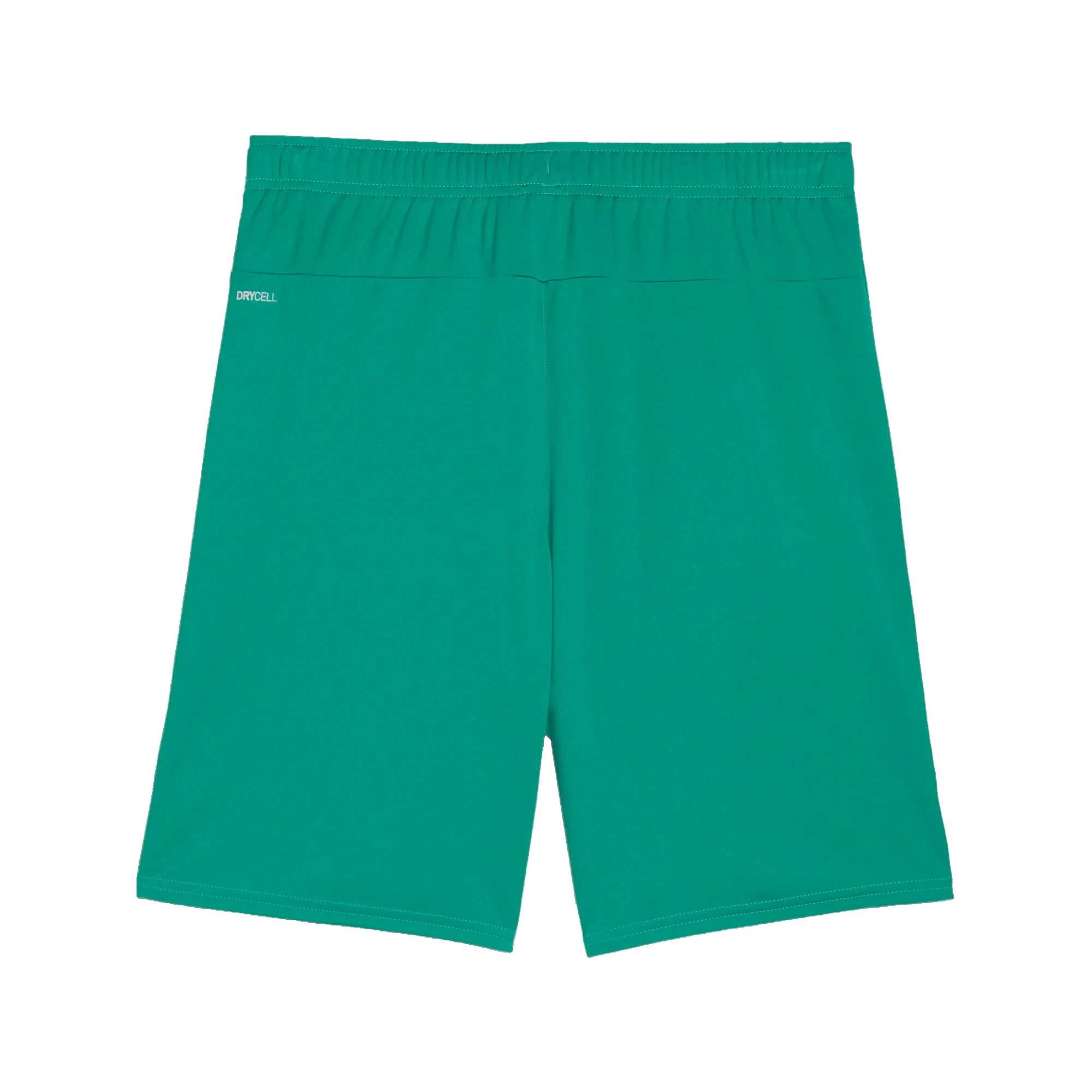 Puma teamGOAL Shorts Herr