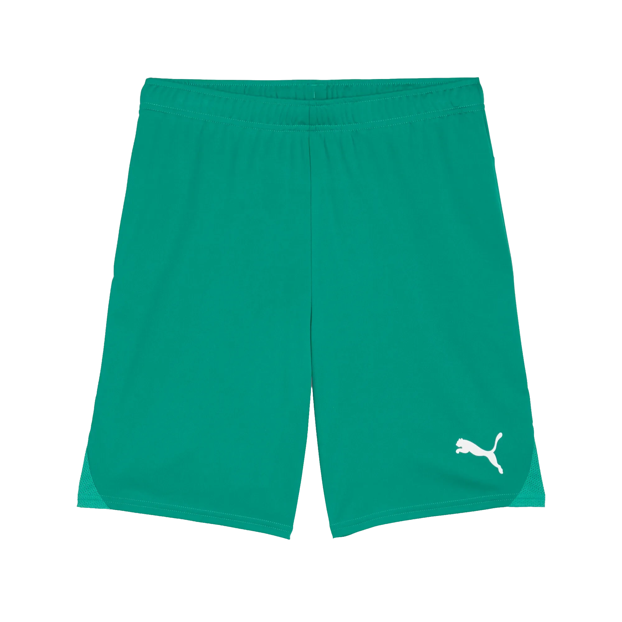 Puma teamGOAL Shorts Herr