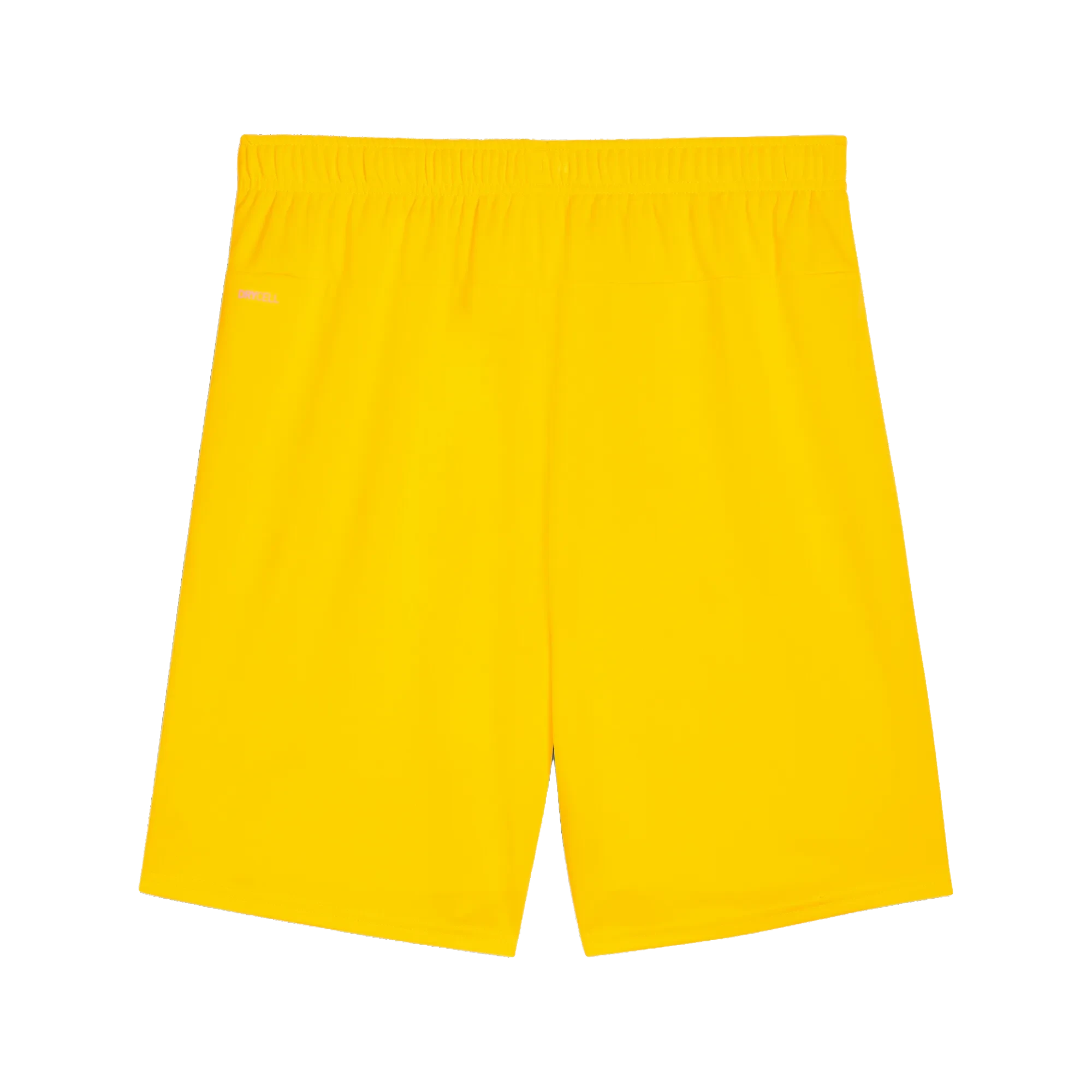 Puma teamGOAL Shorts Herr