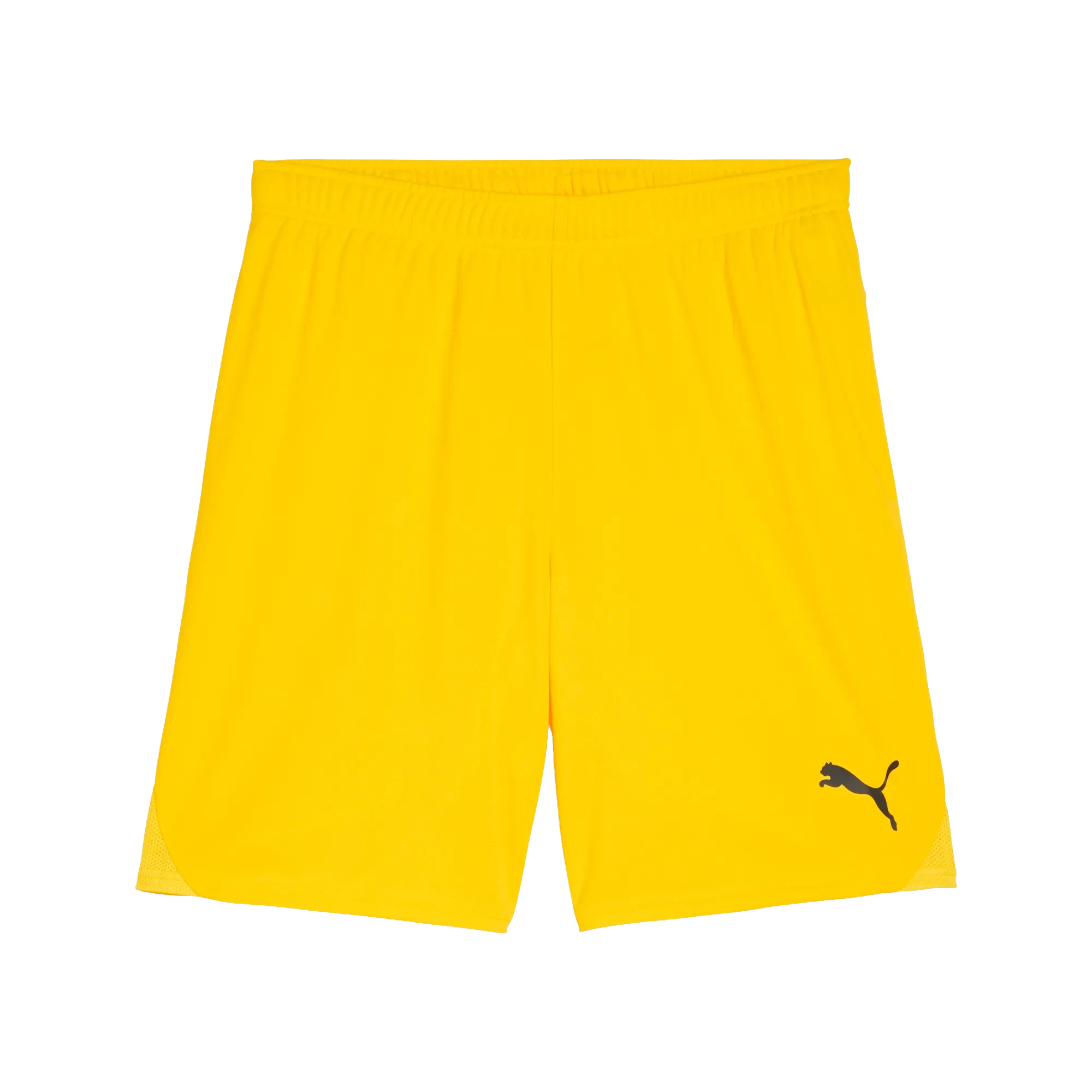Puma teamGOAL Shorts Herr