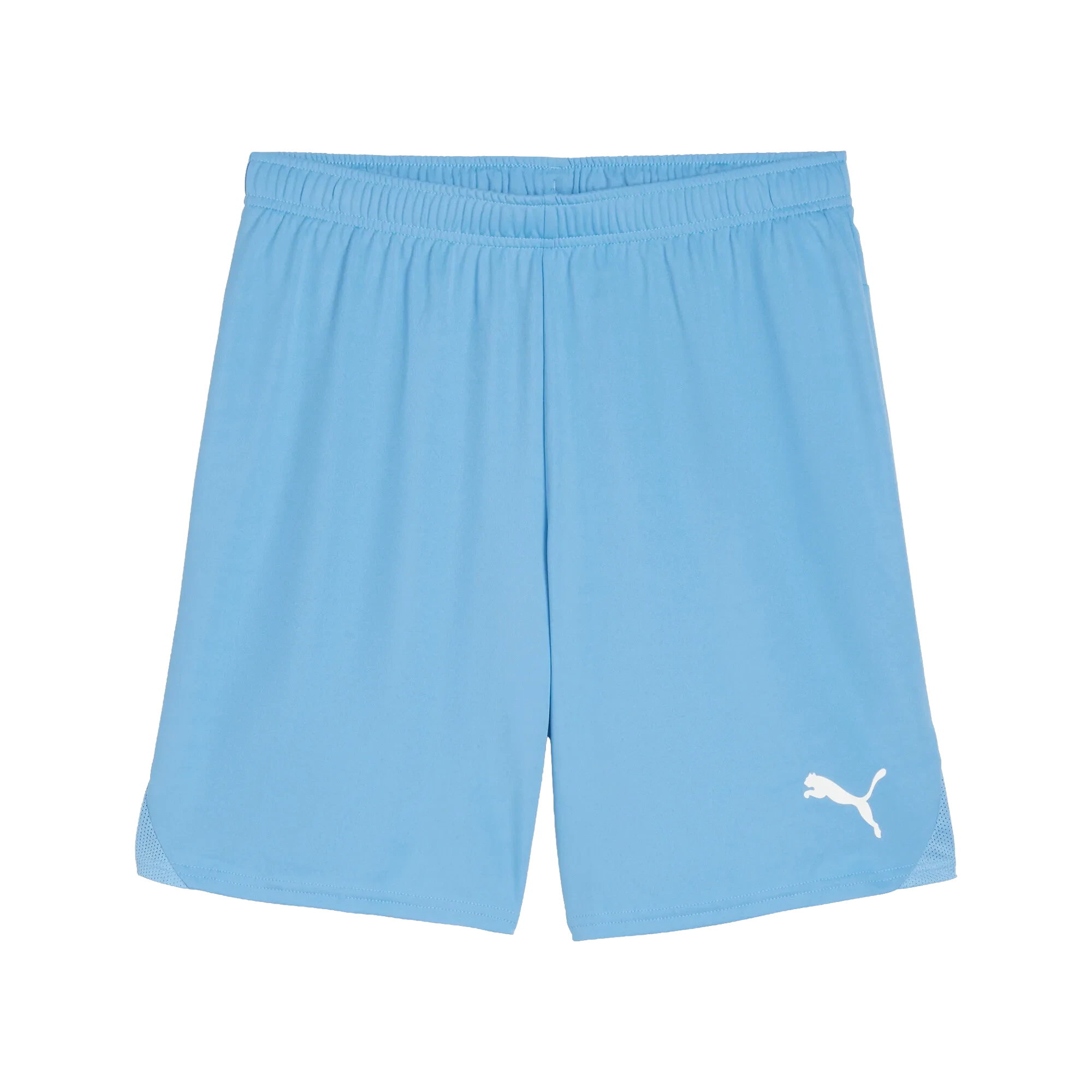 Puma teamGOAL Shorts Herr