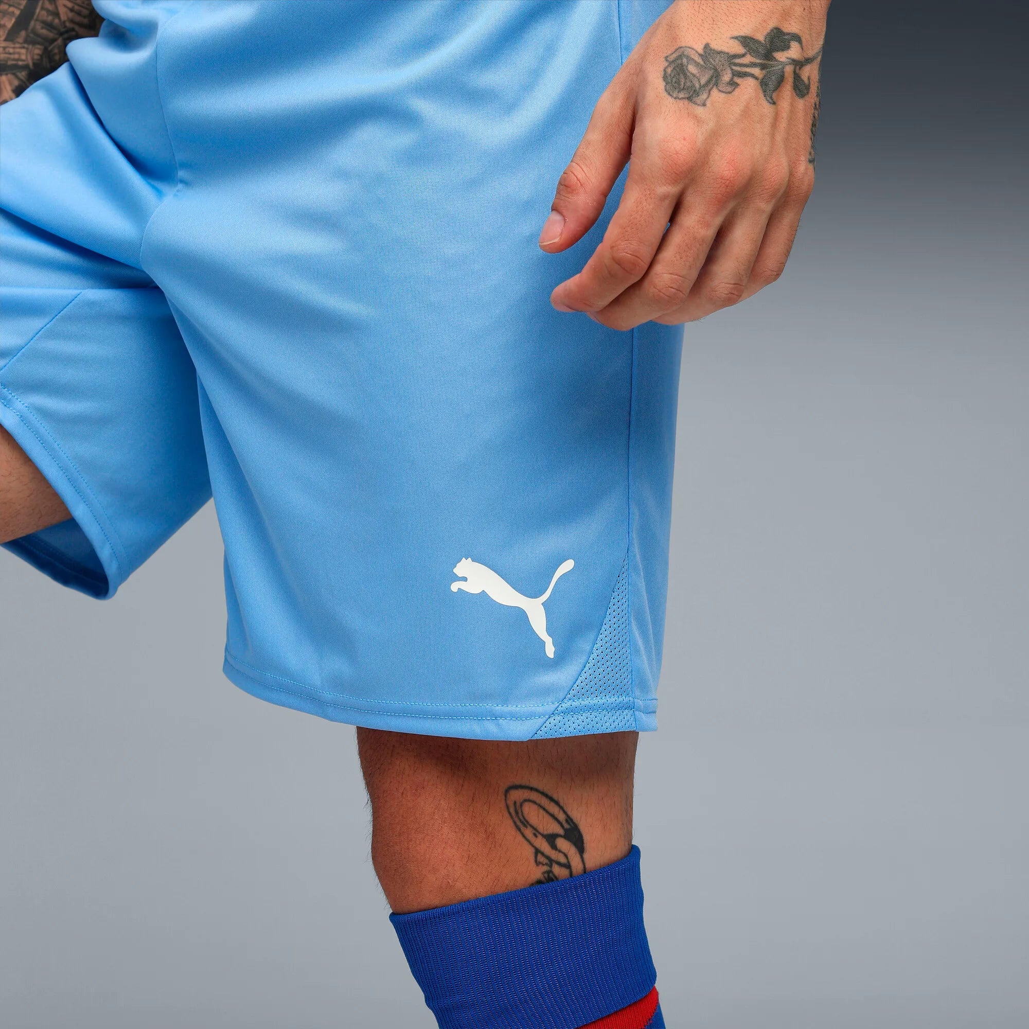 Puma teamGOAL Shorts Herr