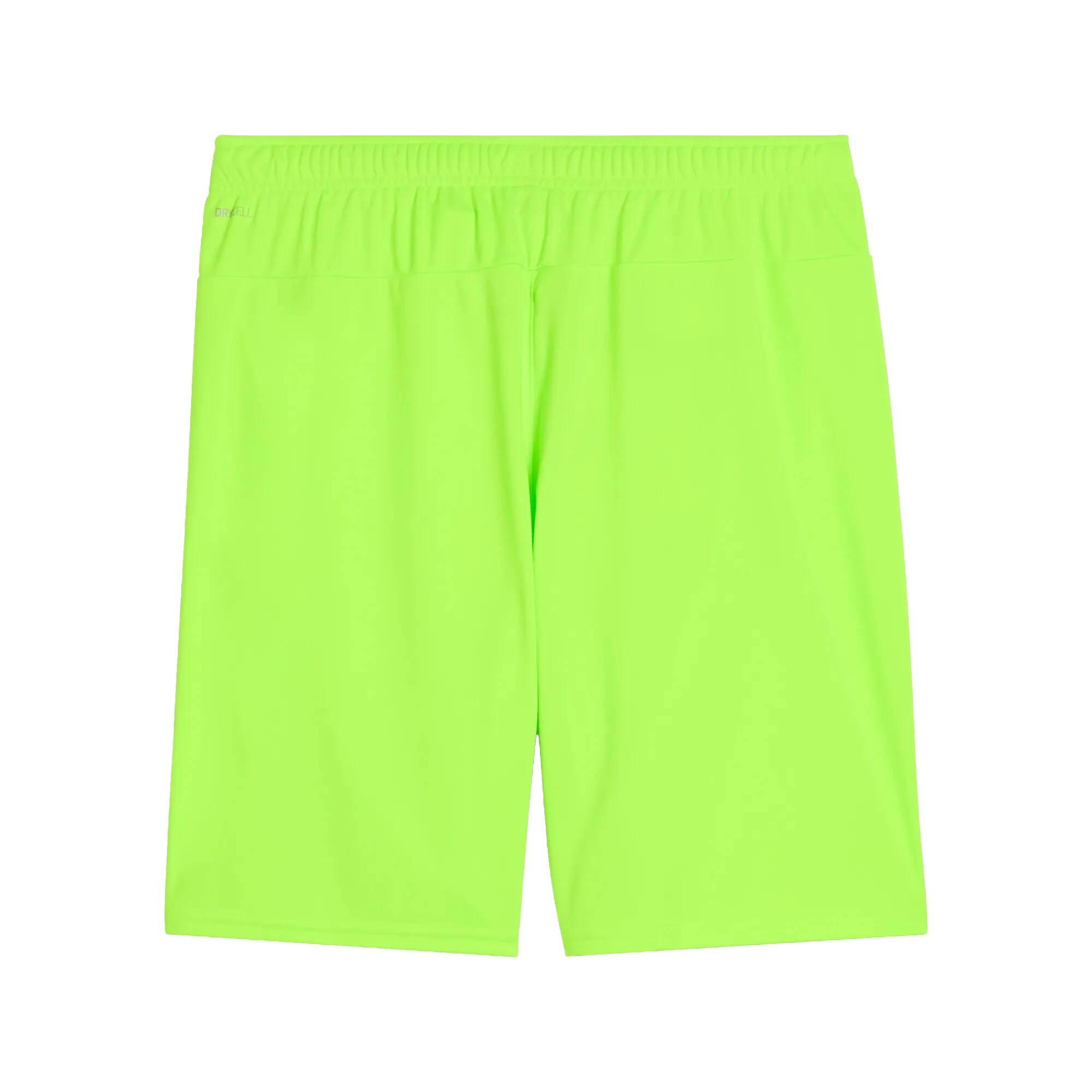 Puma teamGOAL Shorts Herr