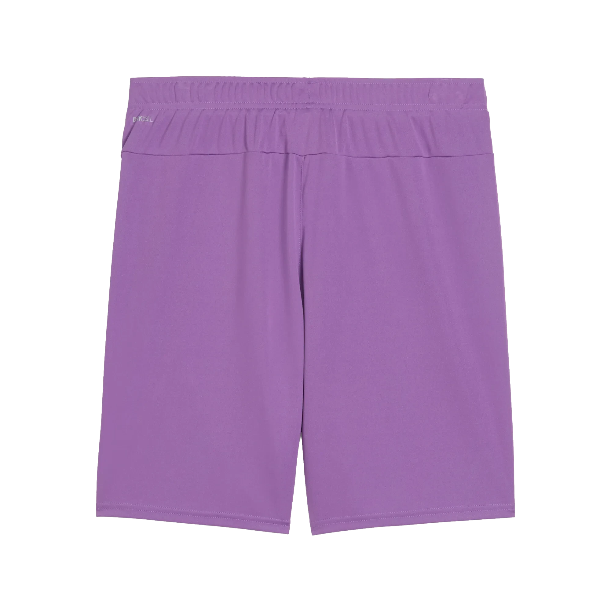 Puma teamGOAL Shorts Herr