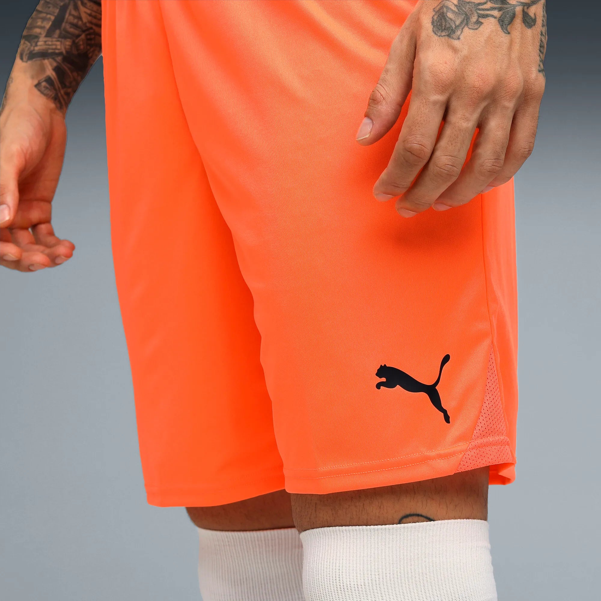 Puma teamGOAL Shorts Herr